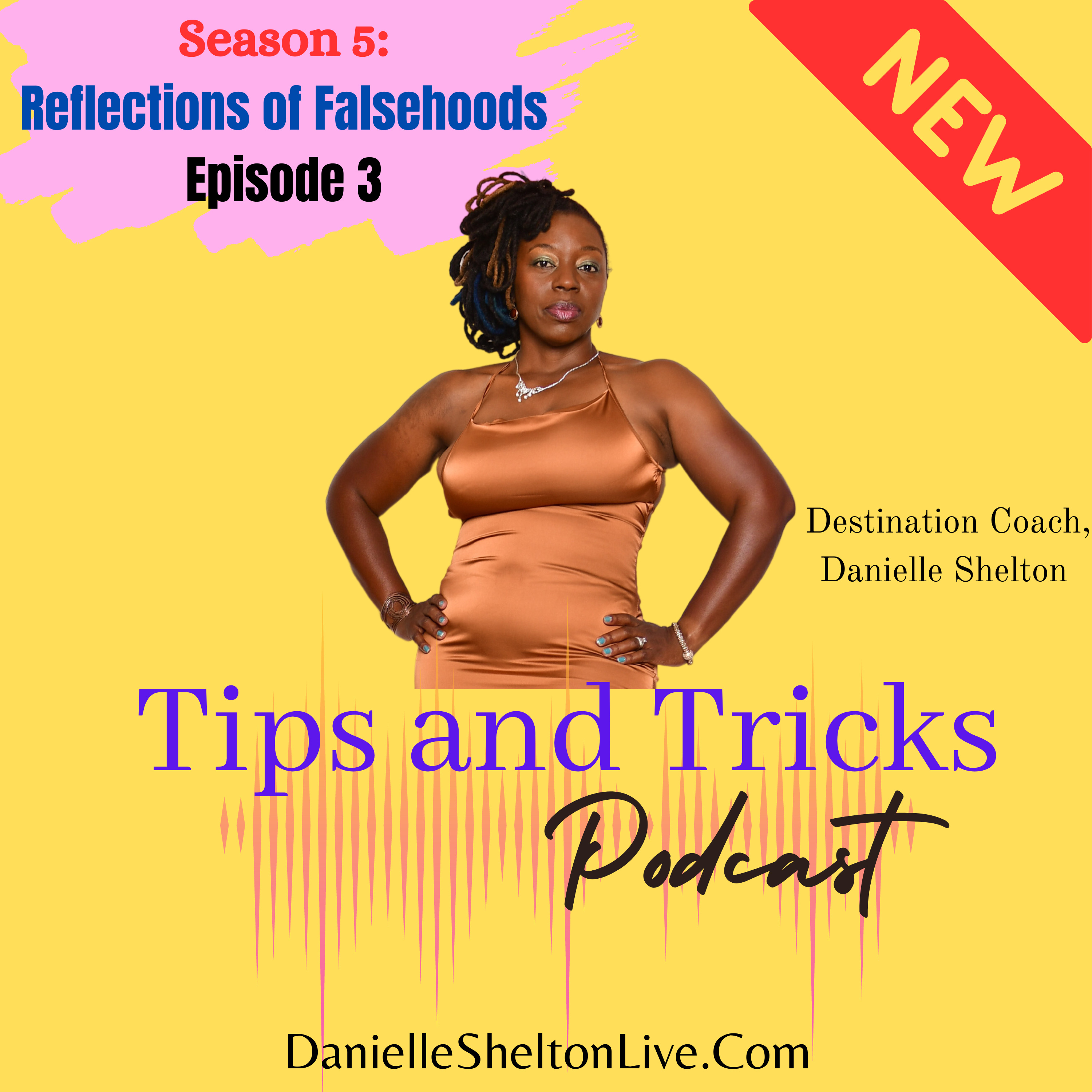 Tips and Tricks Podcast with Life Coach Danielle Shelton