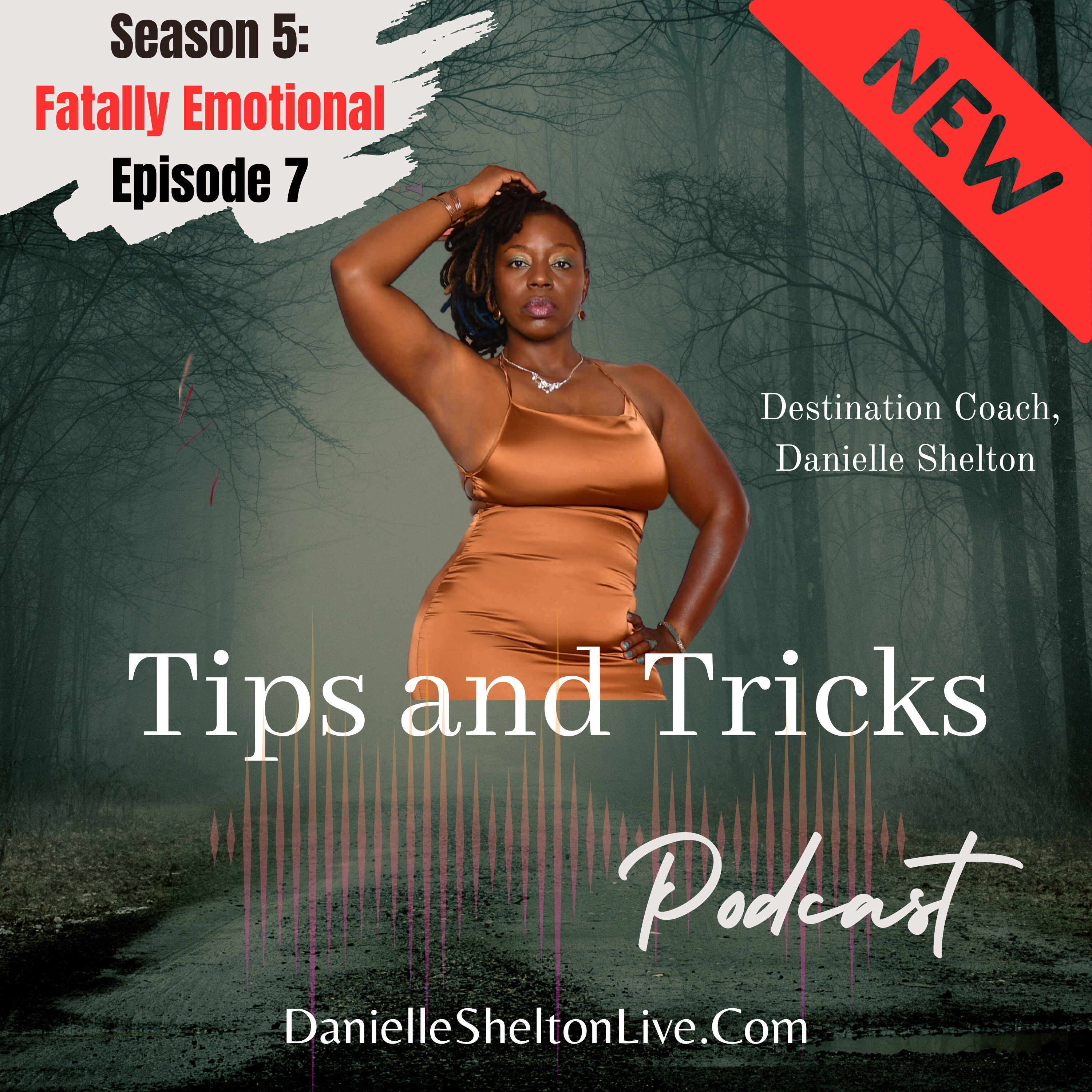 Tips and Tricks Podcast with Life Coach Danielle Shelton