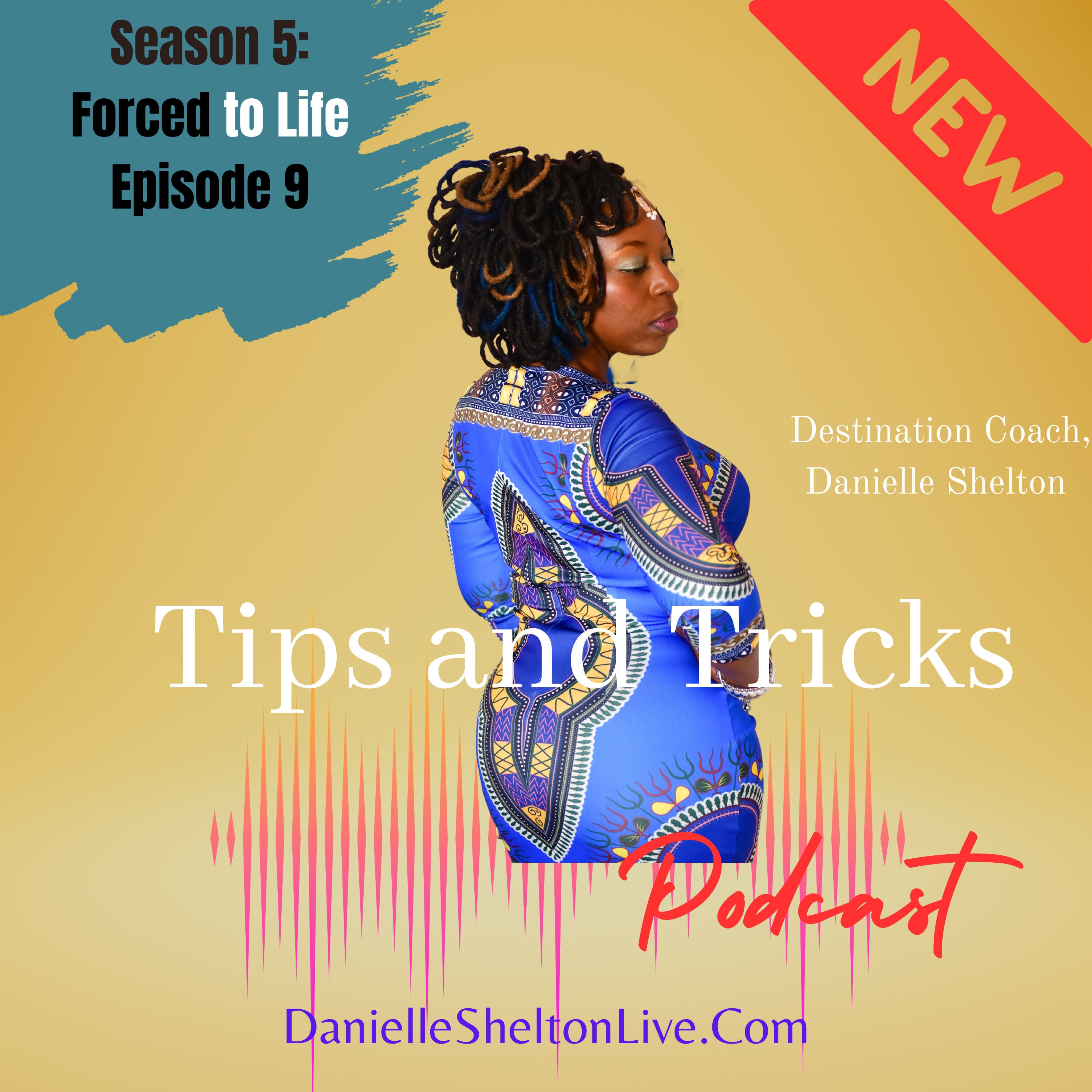Tips and Tricks Podcast with Life Coach Danielle Shelton