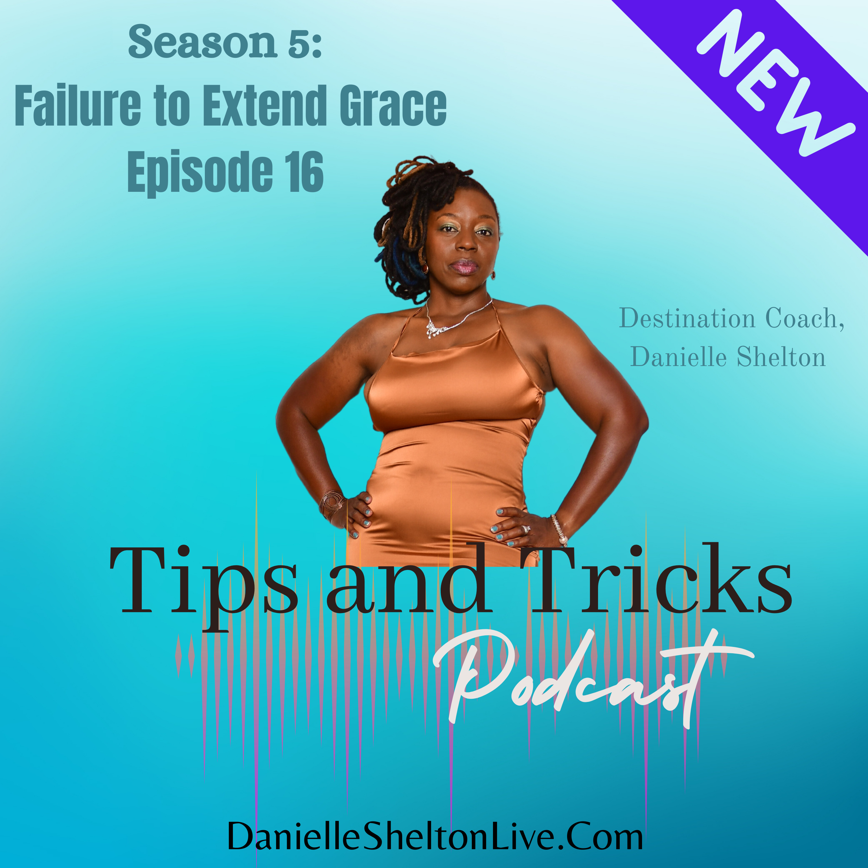 Tips and Tricks Podcast with Life Coach Danielle Shelton