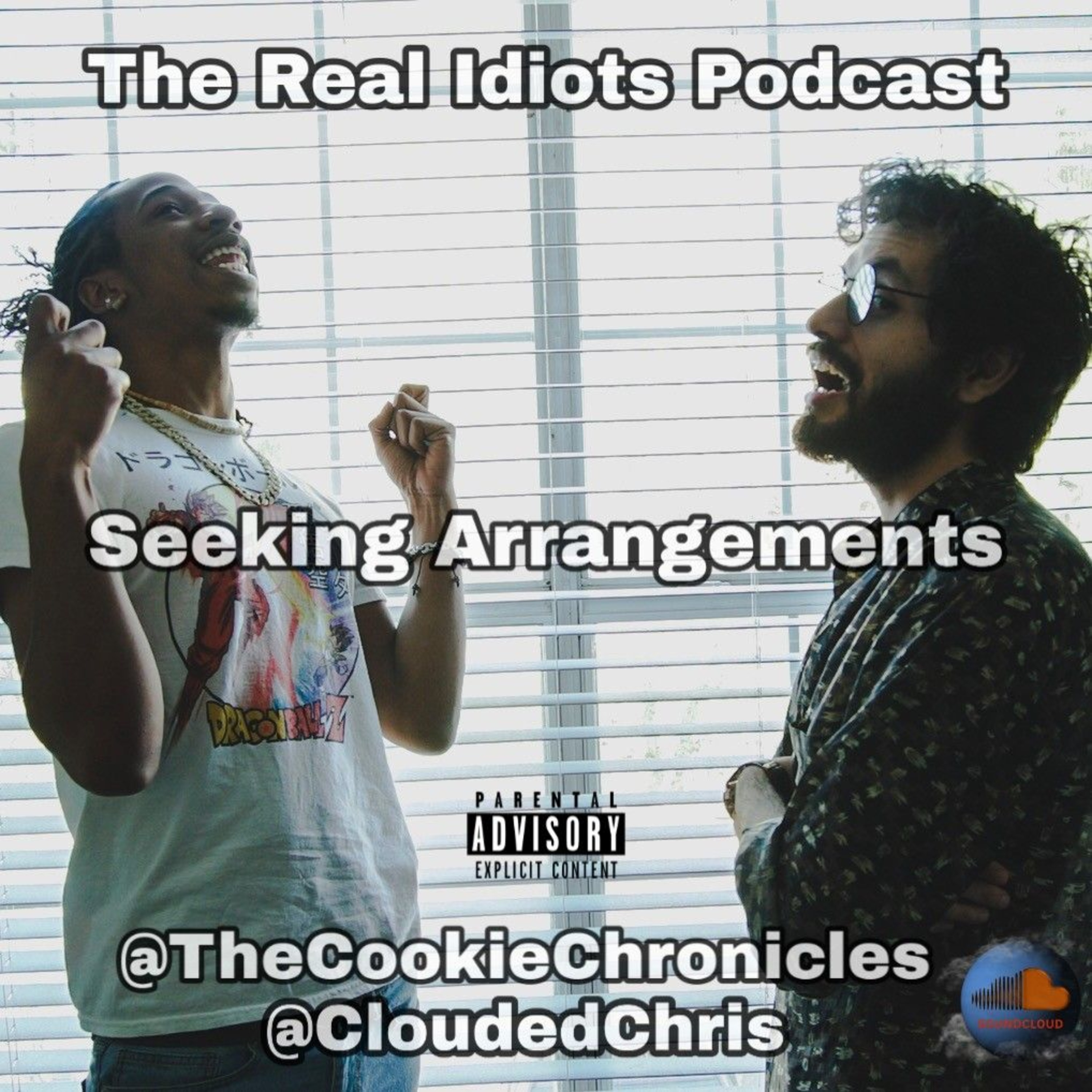 The Real Idiots Podcast