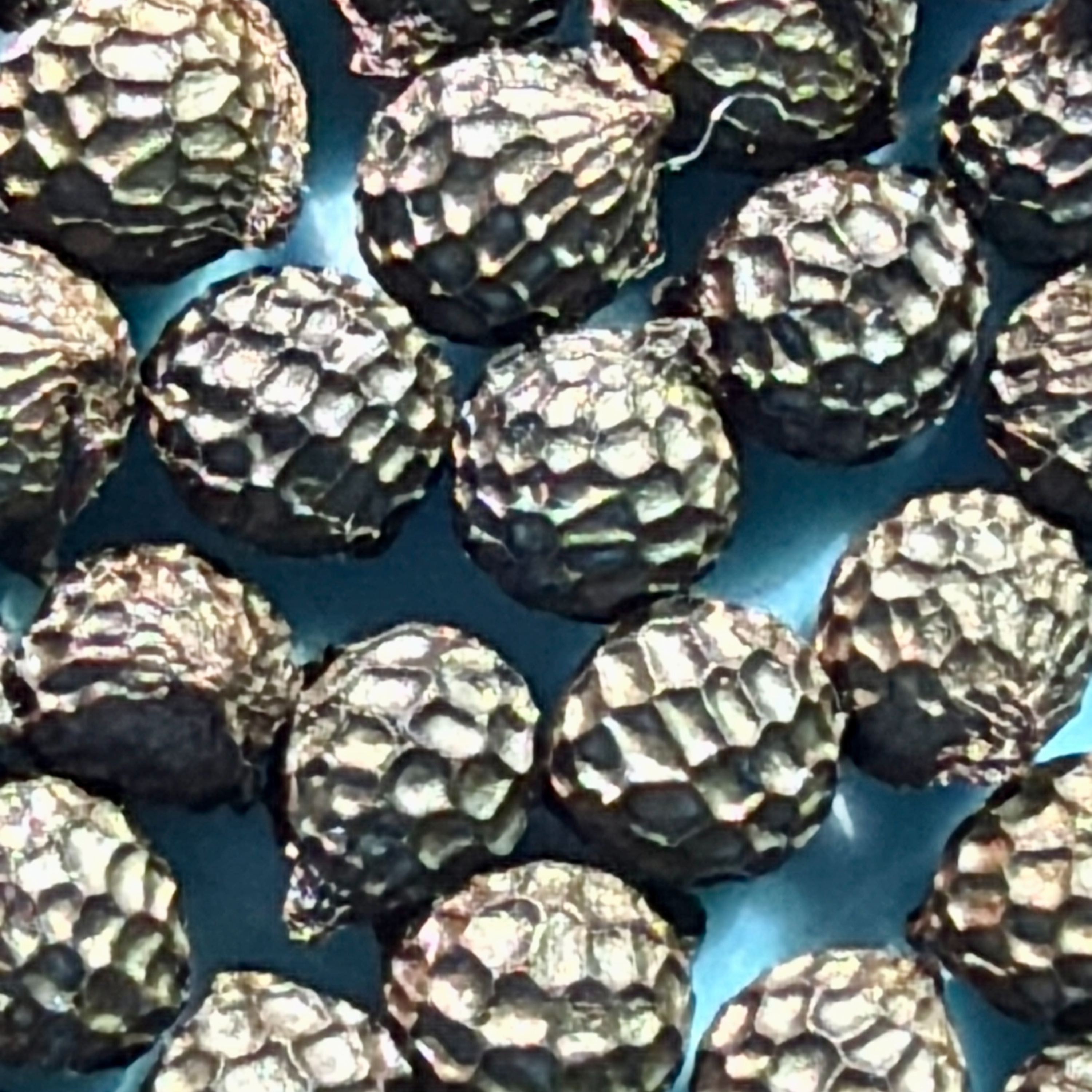 Seeds with Cheryl Birker episode artwork