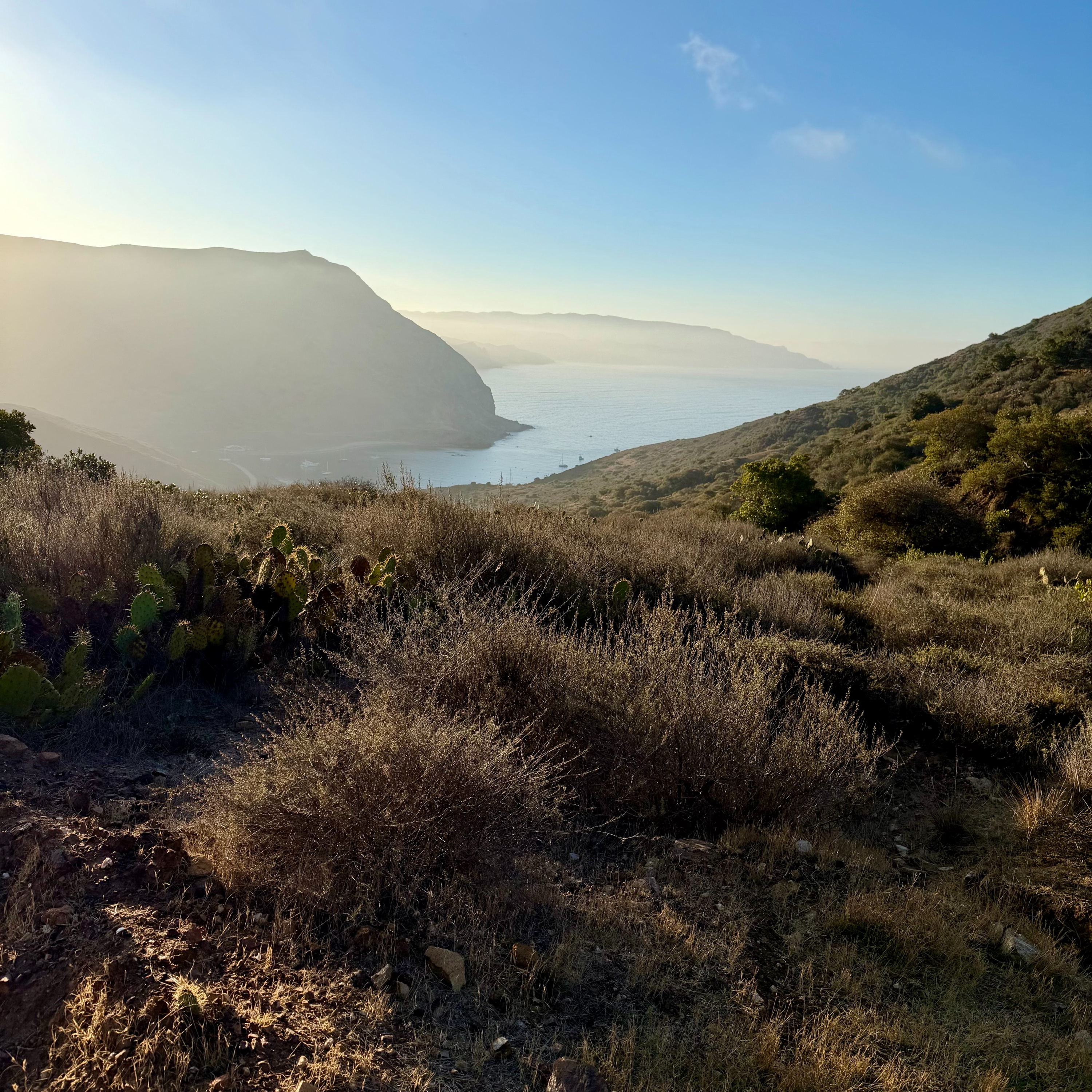 Island Biogeography with Kevin Alison and John Knapp