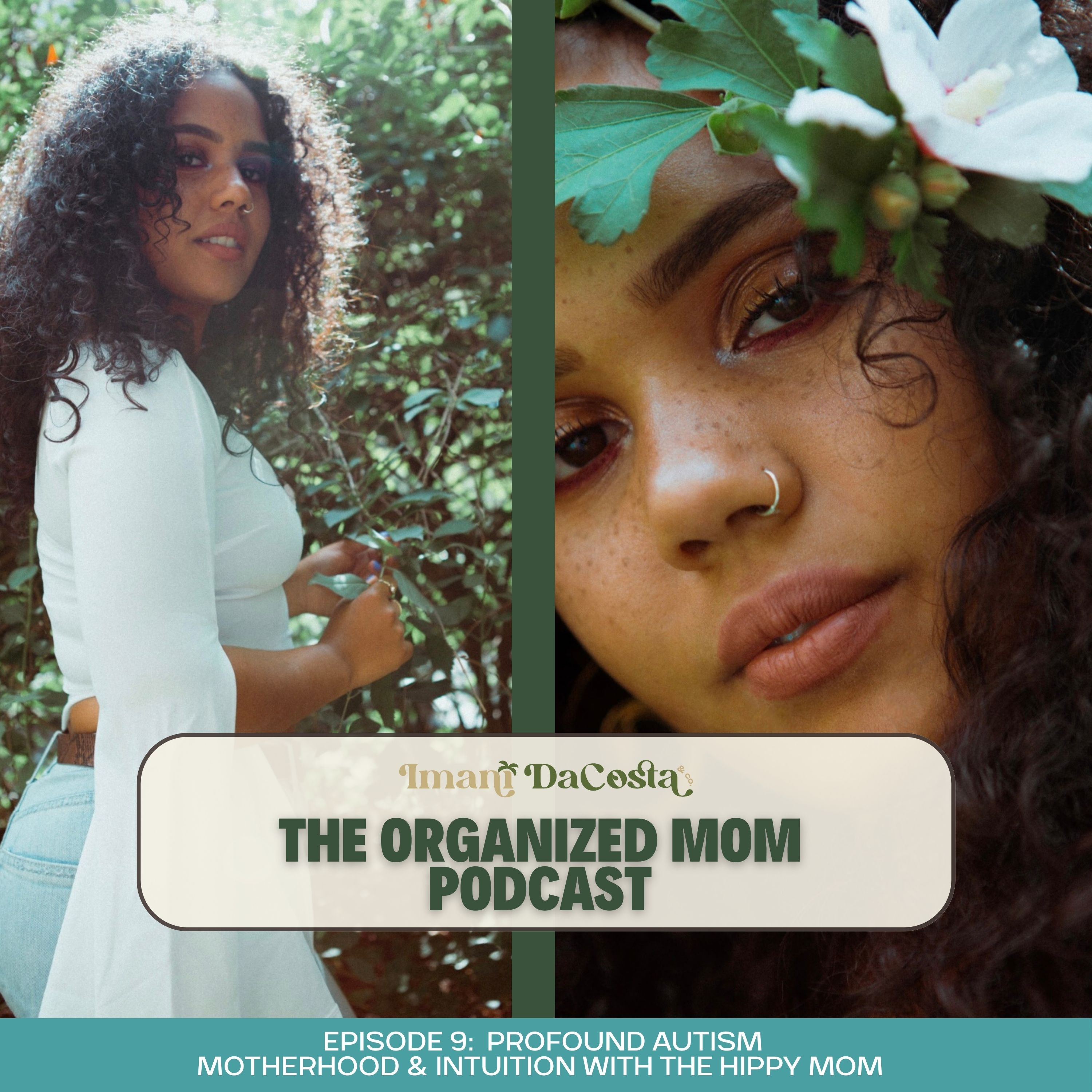 The Organized Mom Podcast