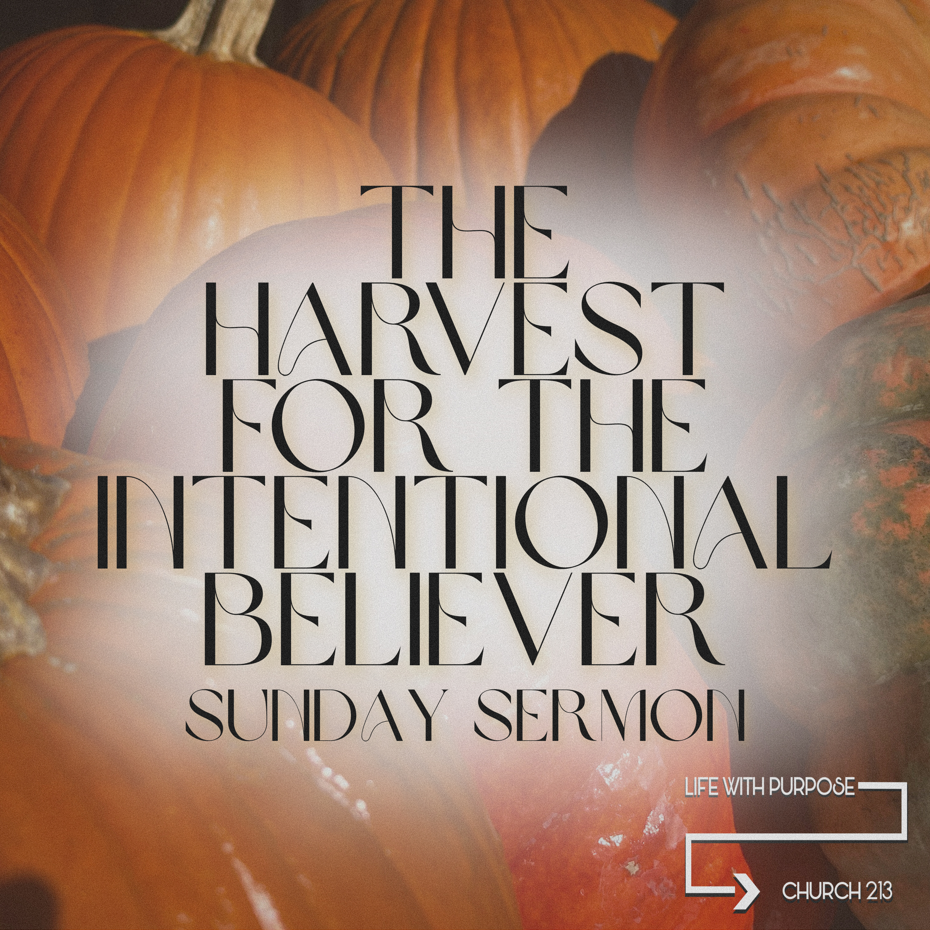The Harvest For the Intentional Believer episode artwork