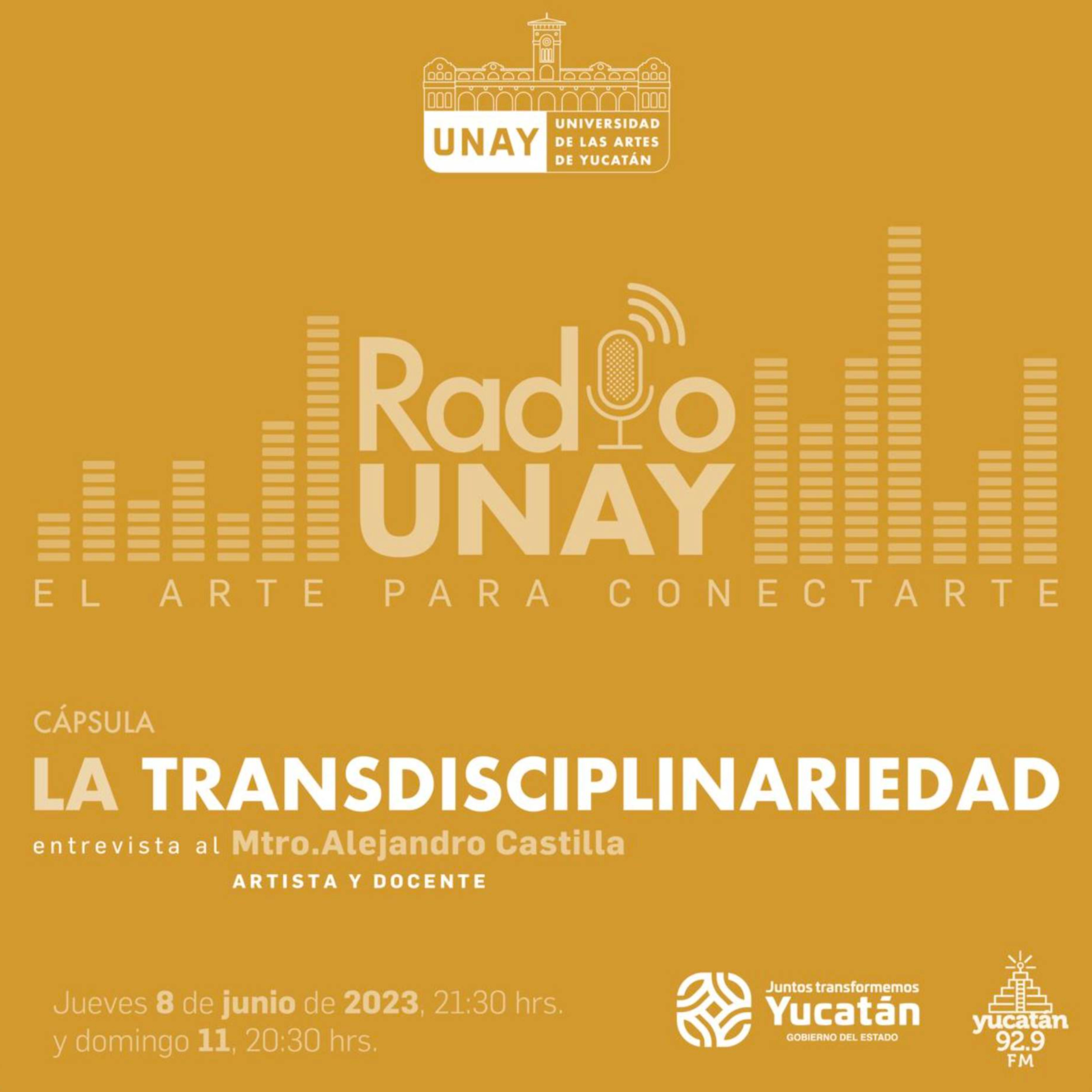 La Transdisciplinariedad episode artwork