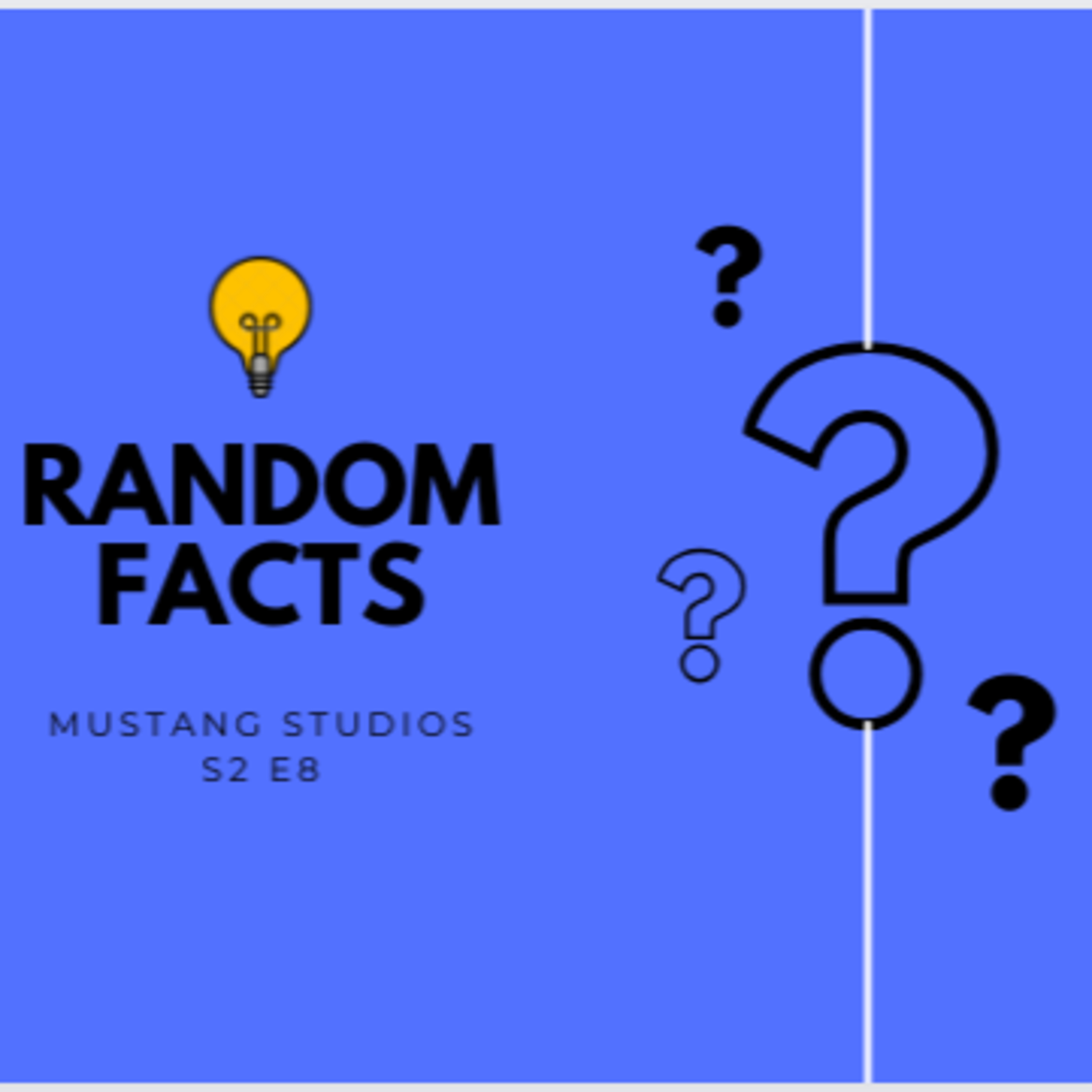 S2 E8: Random Facts episode artwork