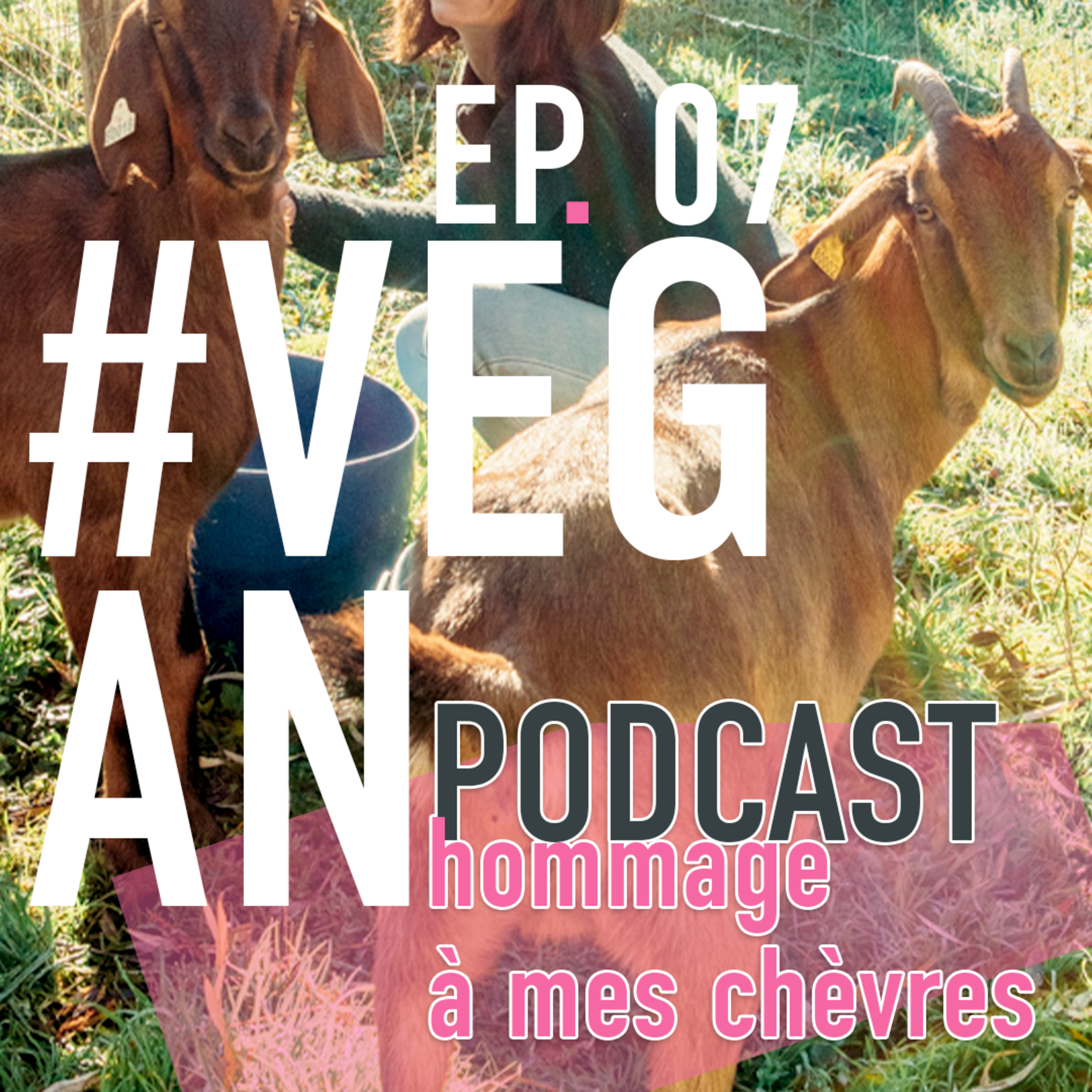 #Vegan - Hommage à mes chèvres ou comment je suis devenue VEGAN