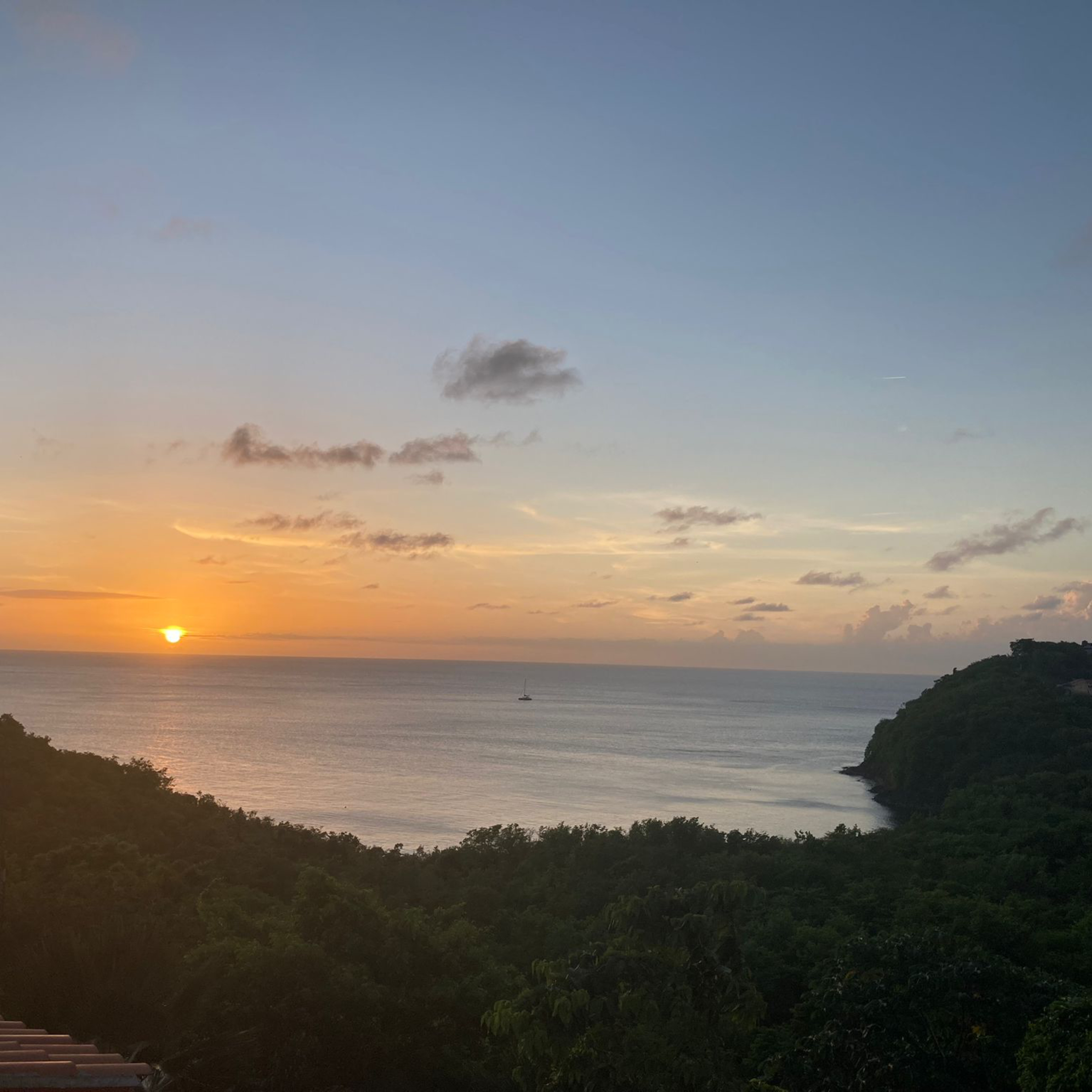 ALI MARTIN live from St Lucia
