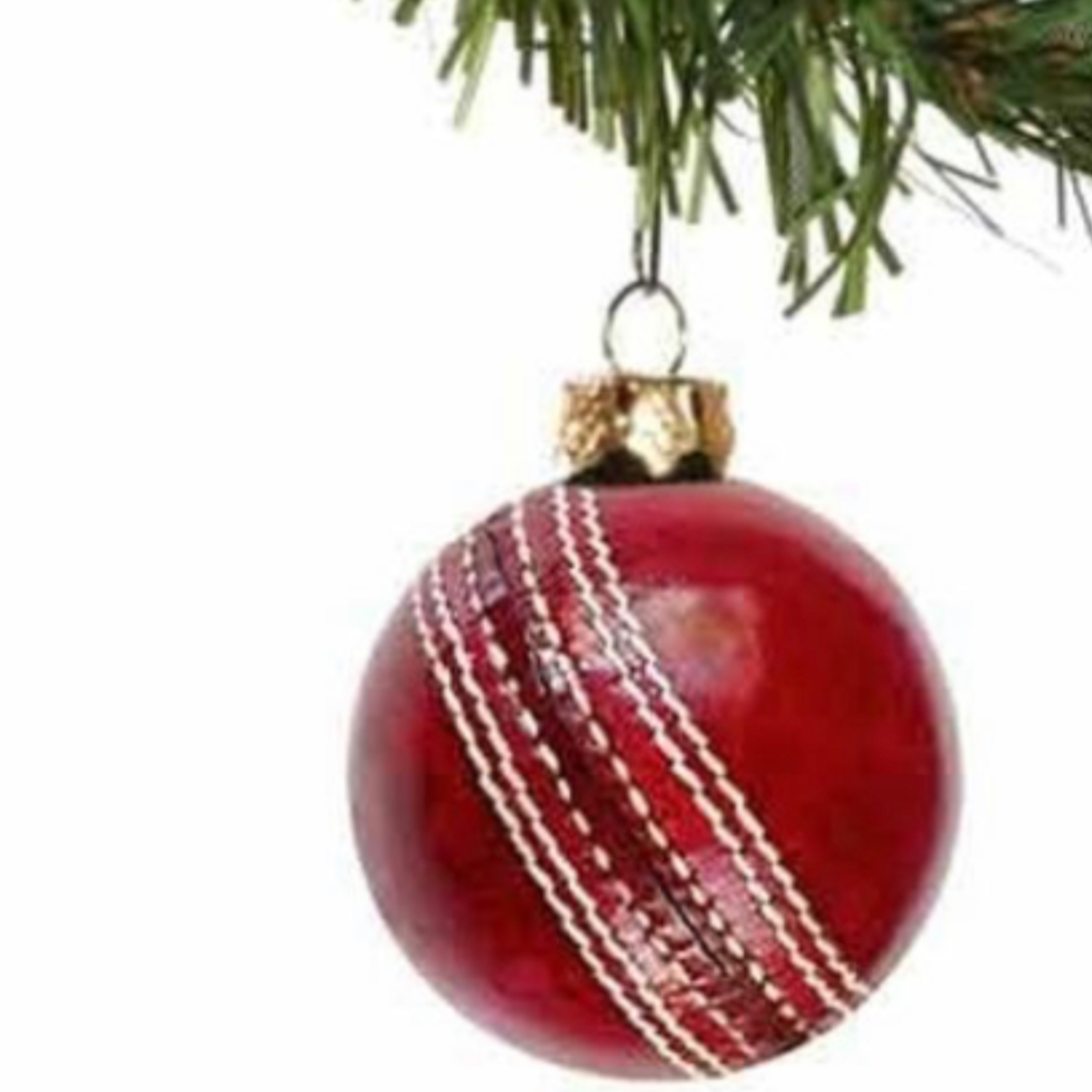 Merry Christmas from our friends!