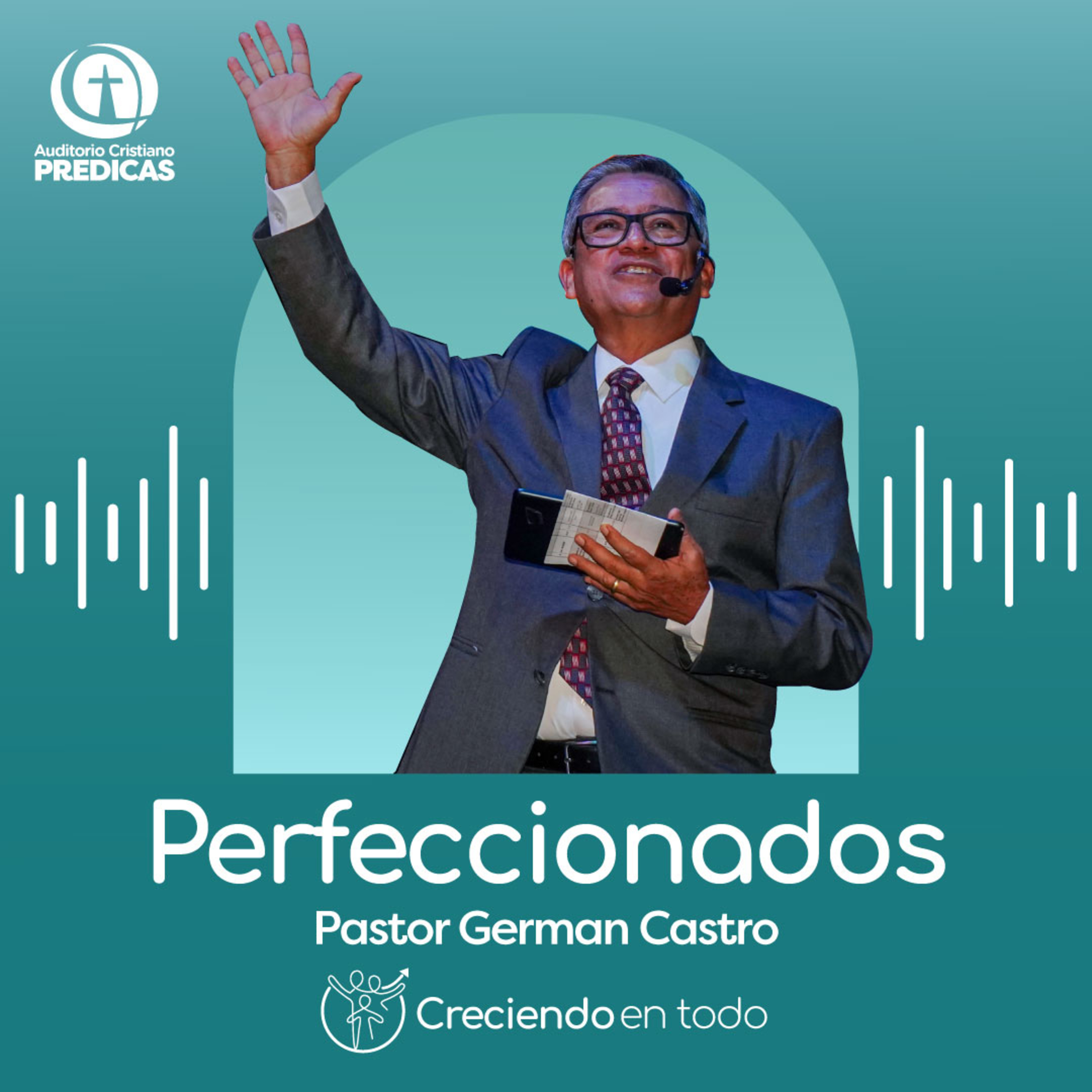 333 - Perfeccionados - Pastor German Castro