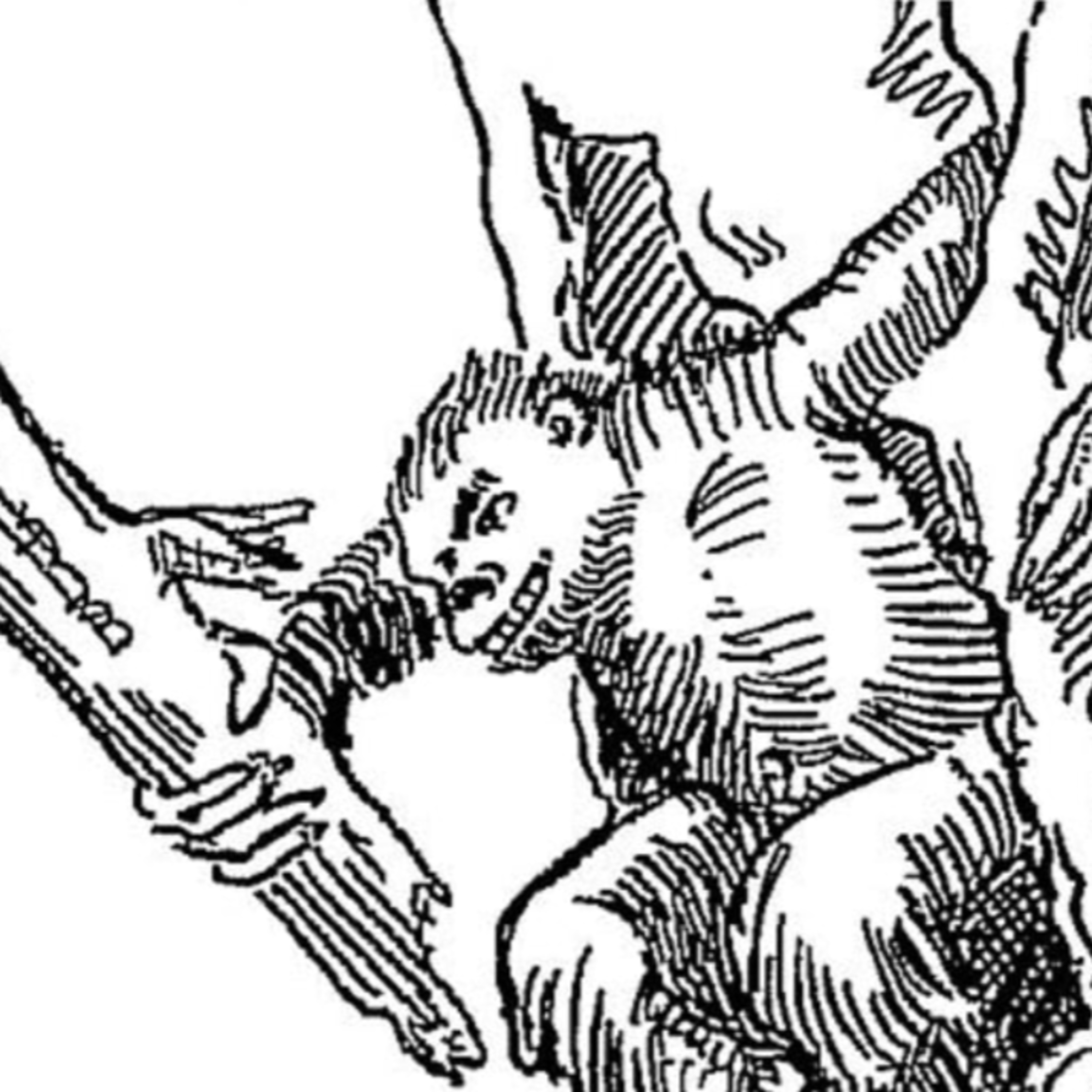 CWT382: Creepy Creatures and Myths: Agropelter