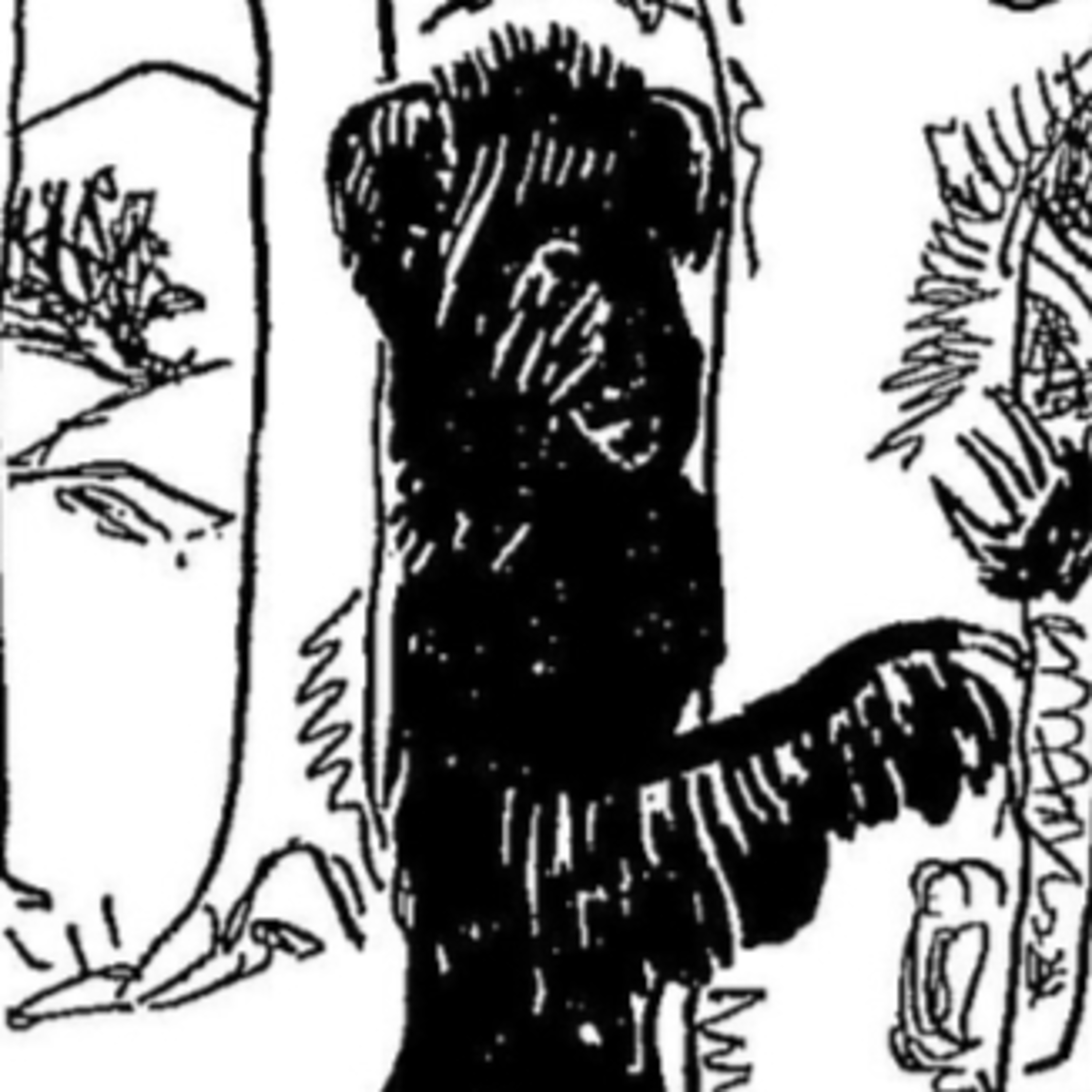 CWT450: Creepy Creatures and Myths: Äbädä and the Hidebehind (The Forest Watches!🌲👀😨)