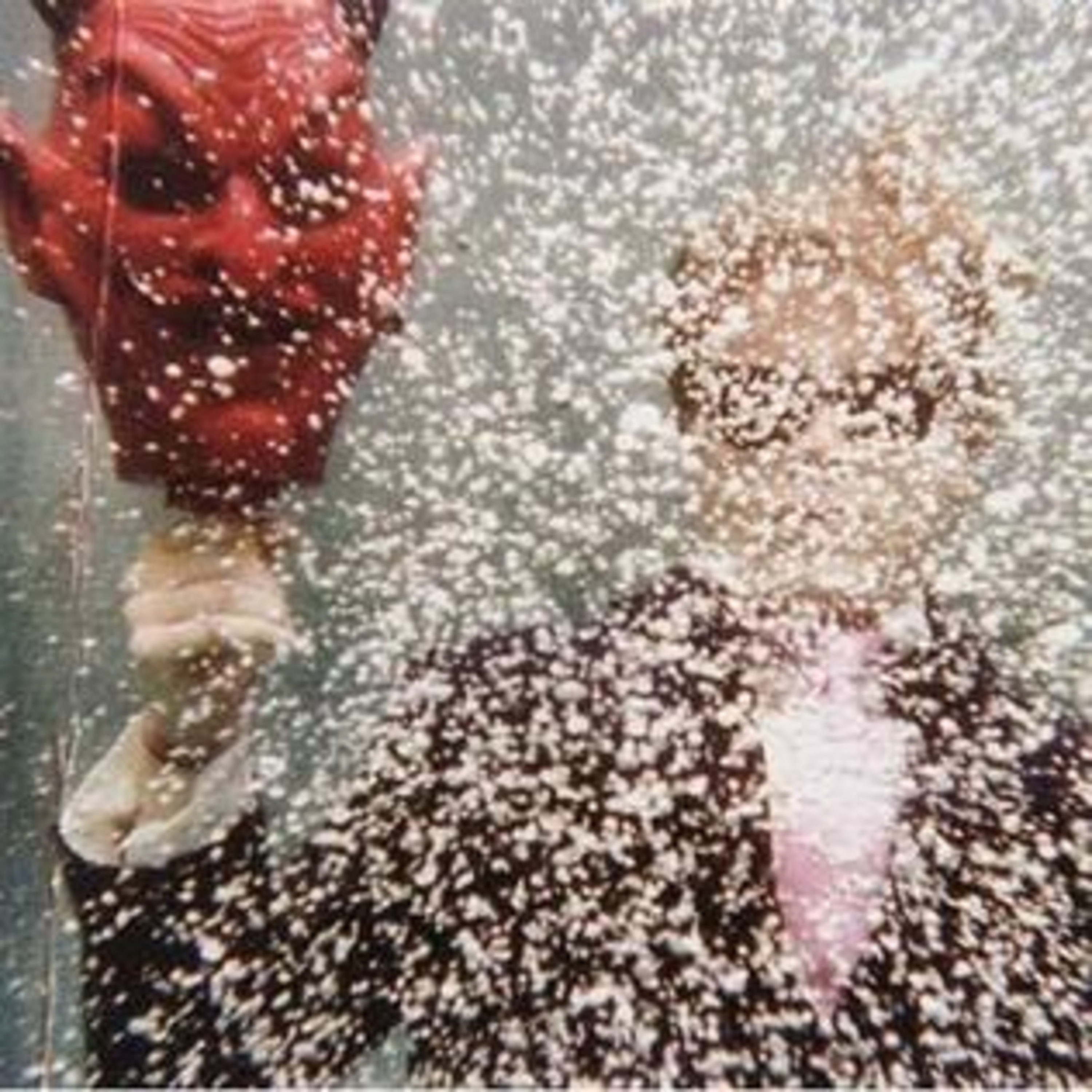 CWT575: Ty Segall (2008): The Birth of a Fuzzed-Out Legend episode artwork