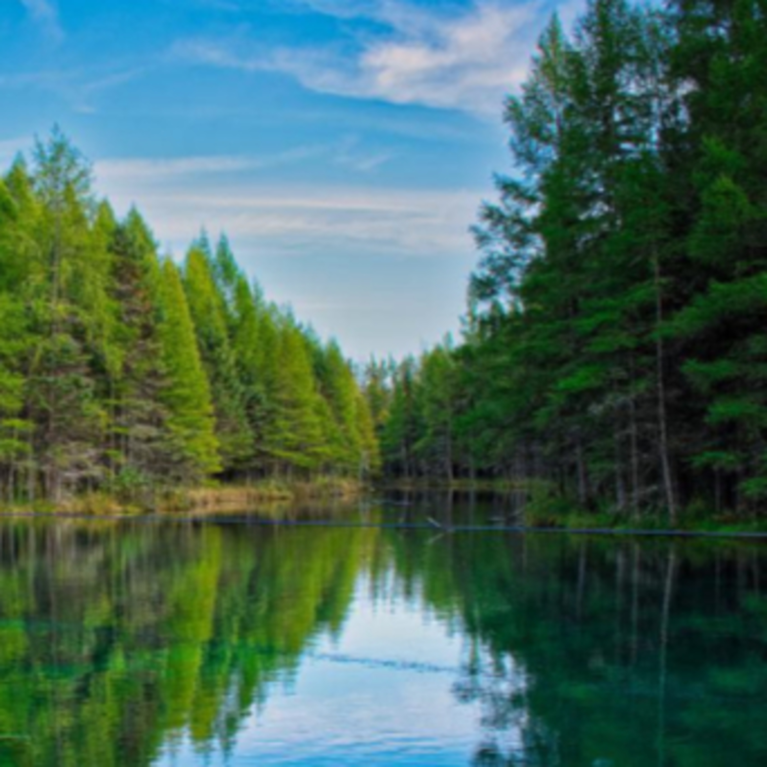 🎙️CWT592: Into the U.P. (More 'Yooper' Talk) episode artwork