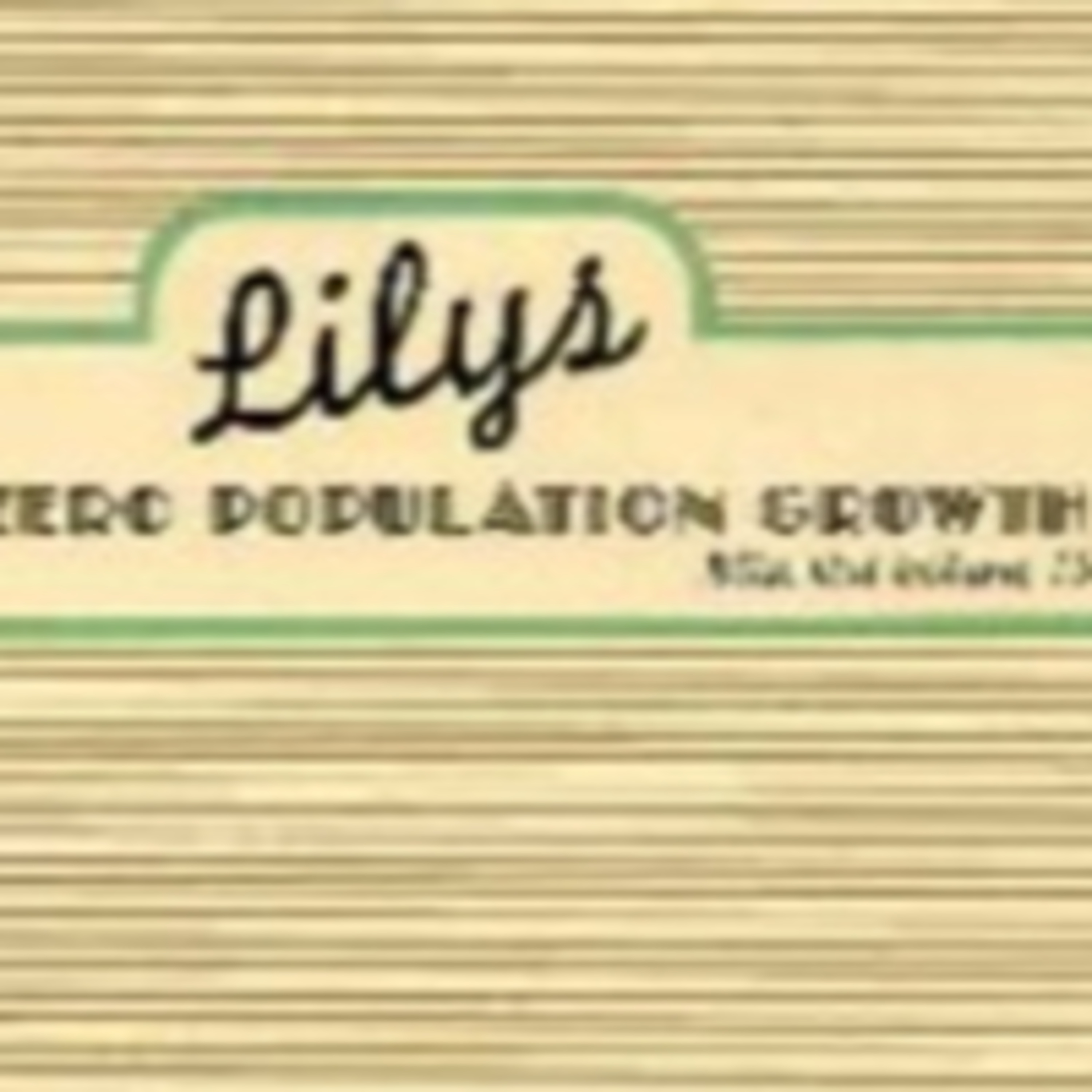 CWT744: ALBUM REVIEW of 'Zero Population Growth: Bliss Out Volume 15' by Lilys episode artwork