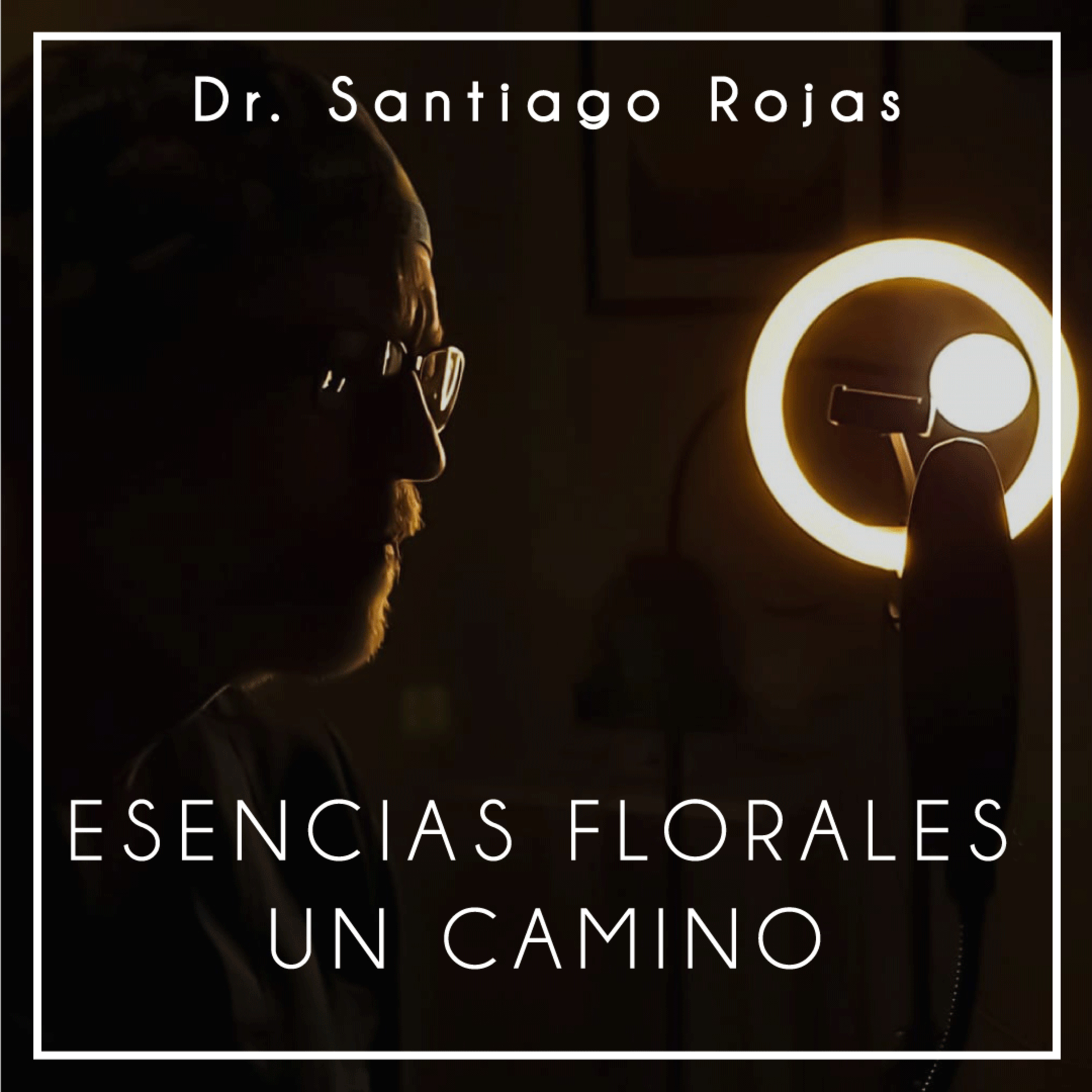 Notas de Luz