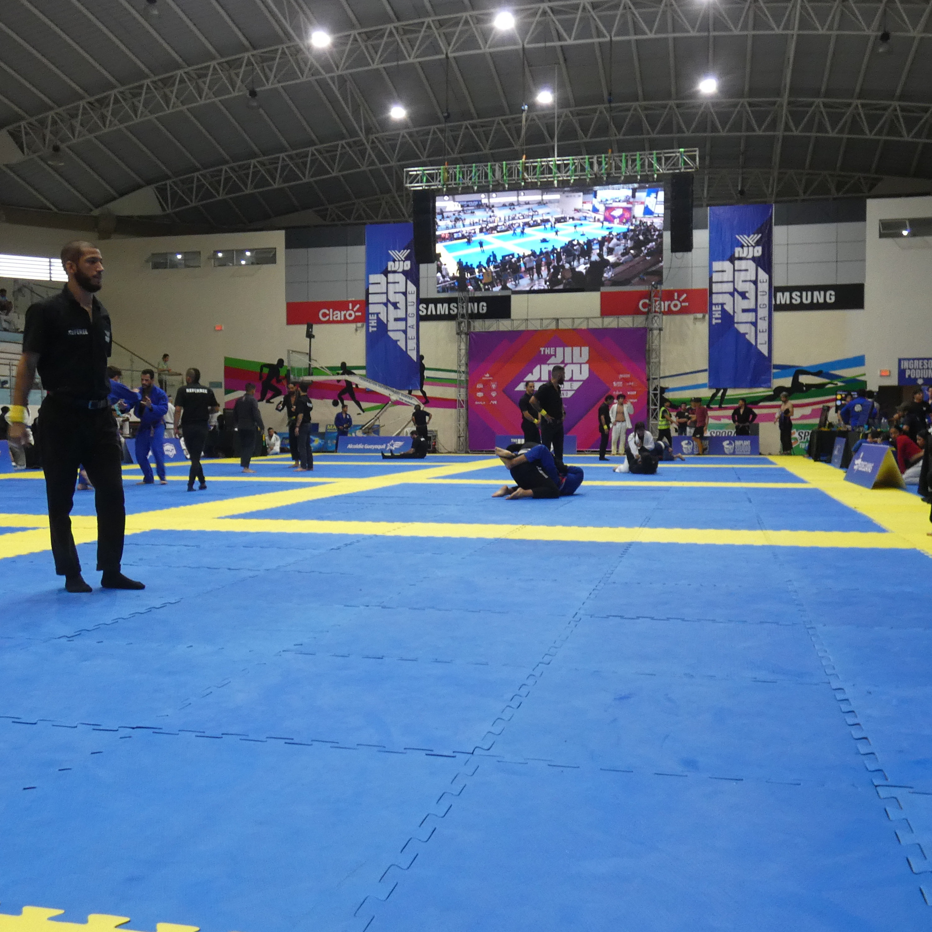 BJJ Tripping Podcast