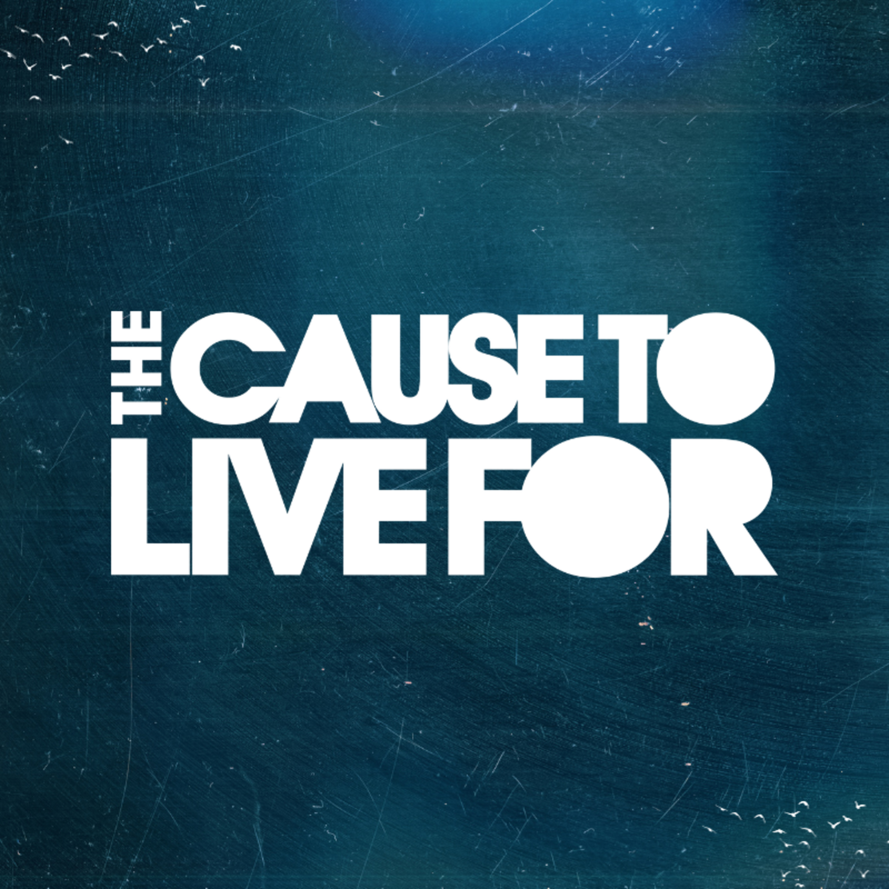 Vineyard Churches UK & Ireland