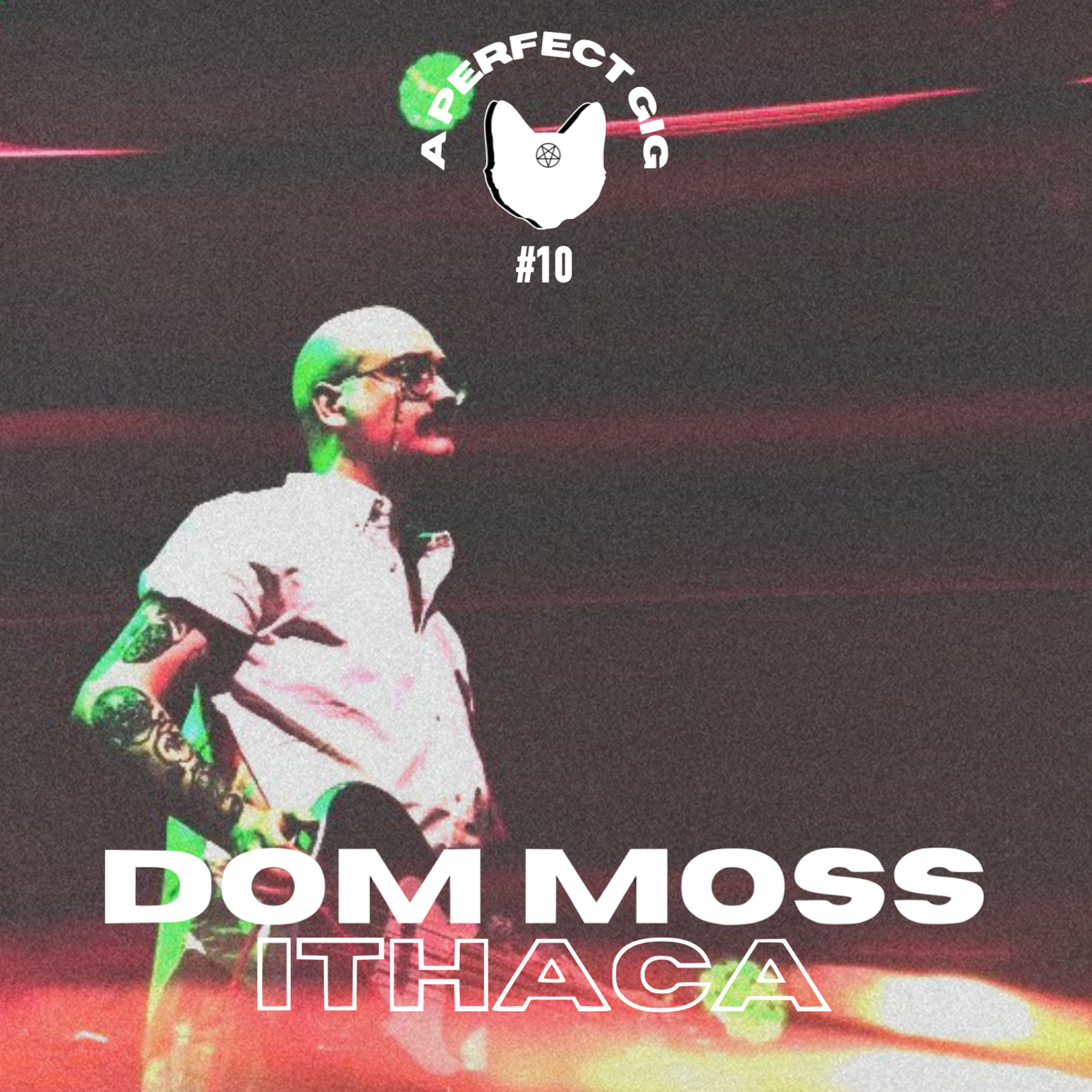 A PERFECT GIG #10 | Dom Moss (Ithaca) episode artwork