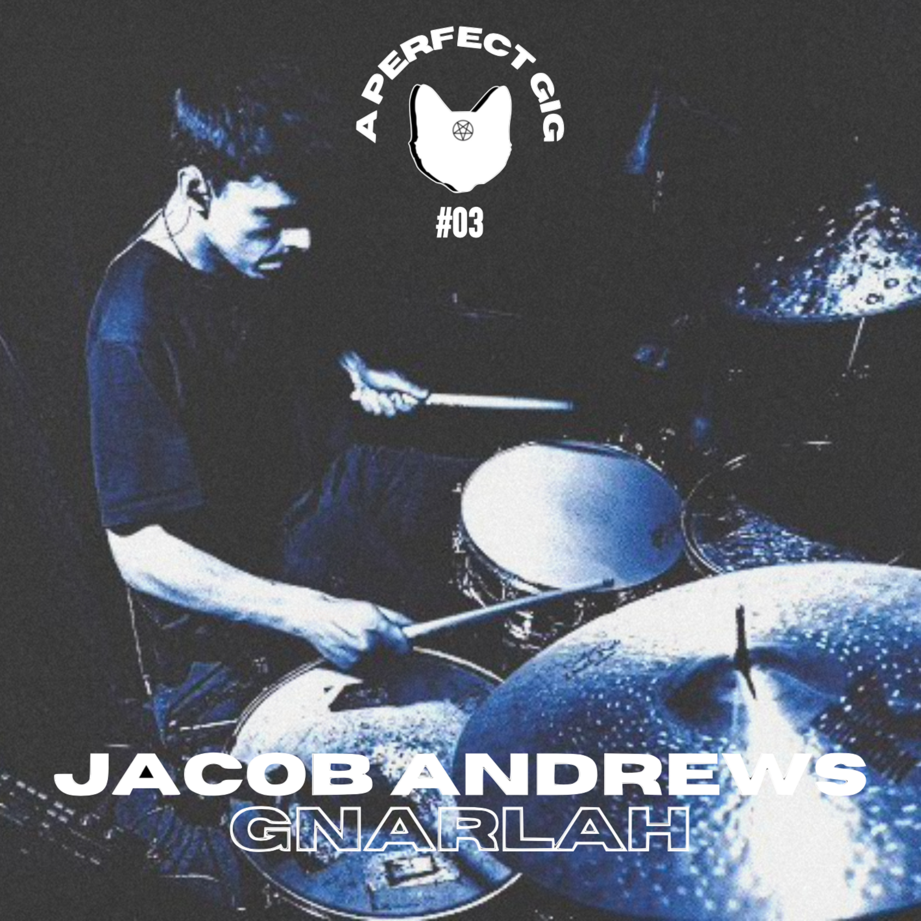 A PERFECT GIG #3 | Jacob Andrews (Gnarlah) episode artwork