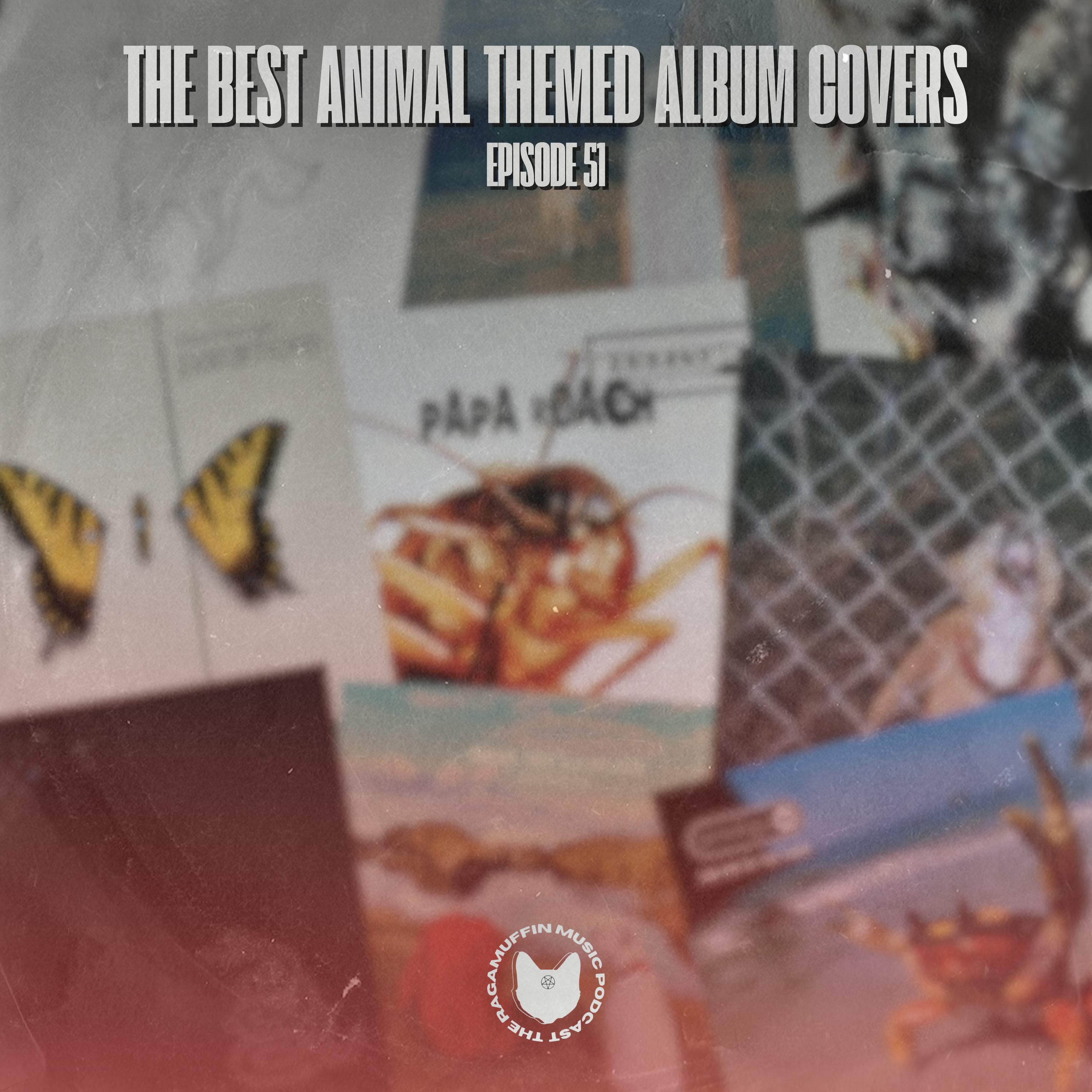 51 | The Best Animal Themed Album Covers episode artwork