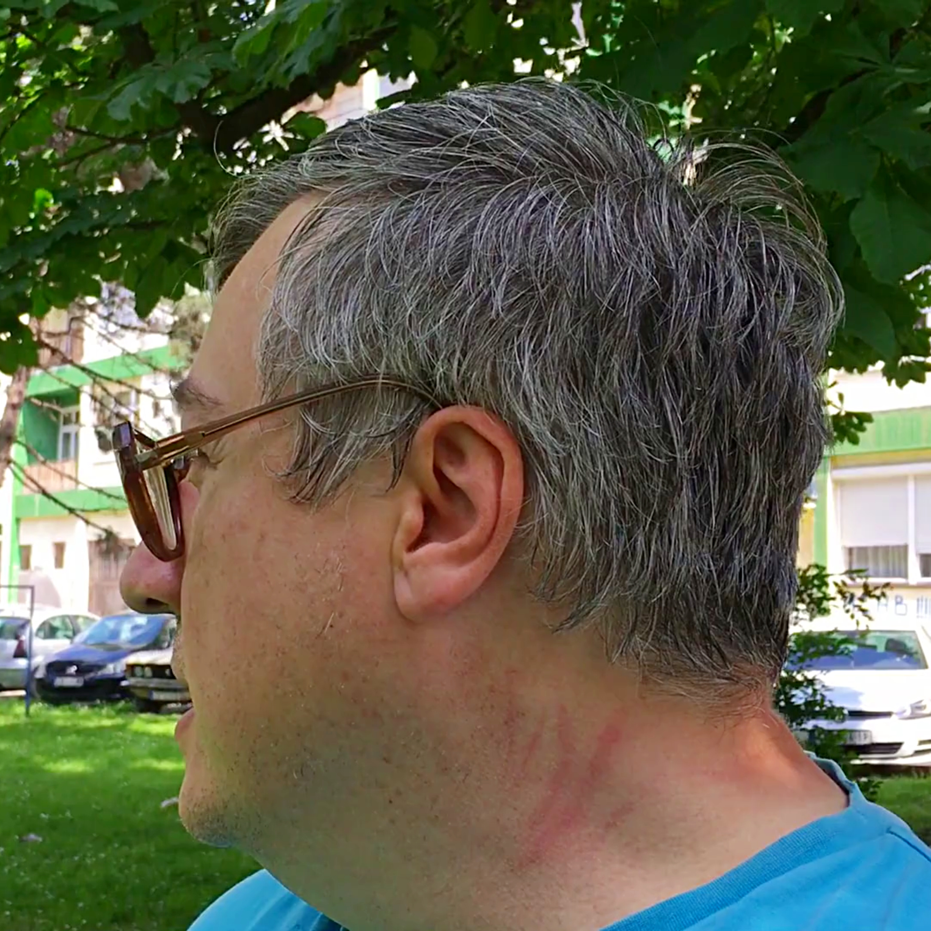 Kod Svete