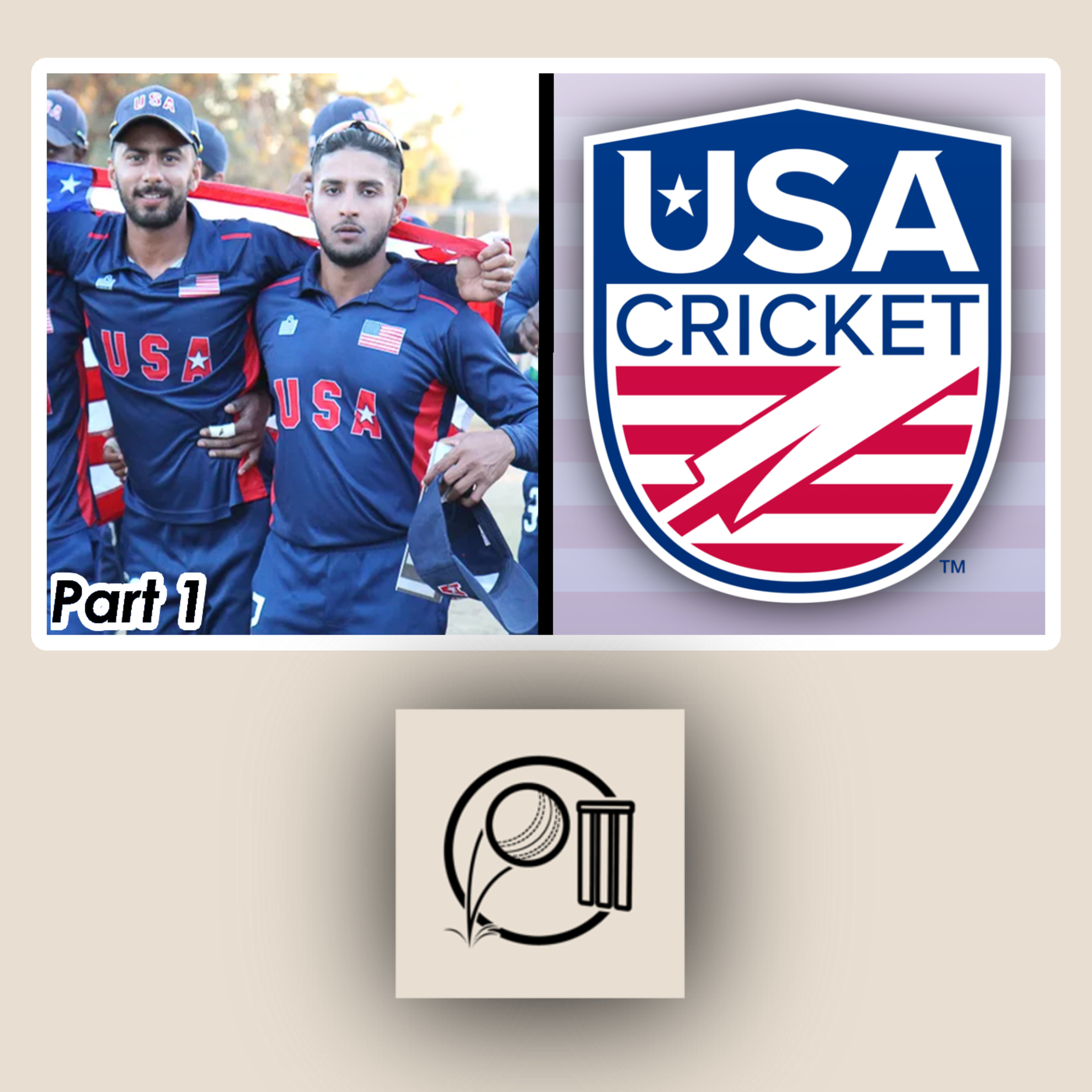 Will cricket take off in the USA? | Cricket Discussion with Nate Hays | Emerging Cricket | Part 1