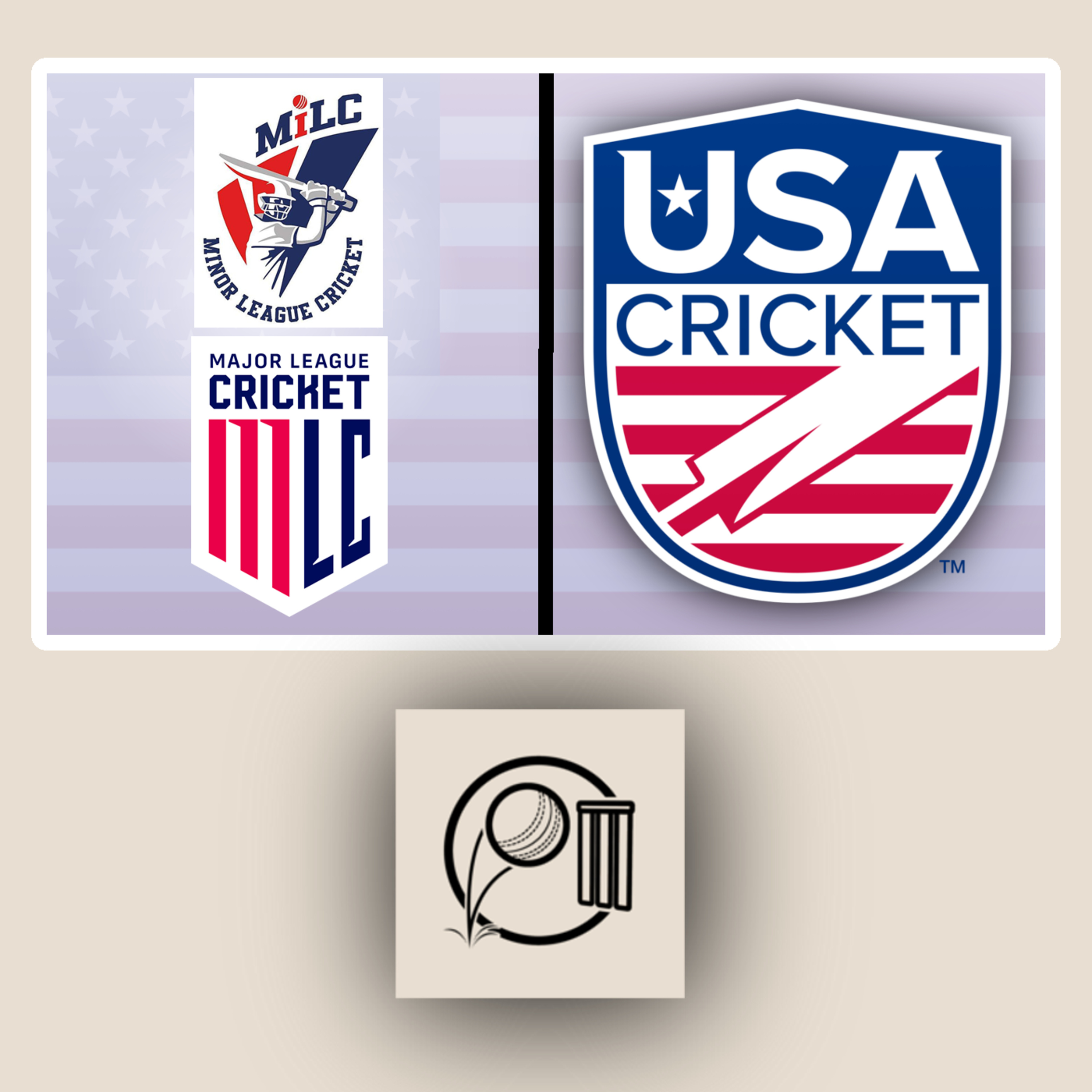 Major League/Minor League Cricket | Nate Hays | Emerging Cricket | USA Cricket