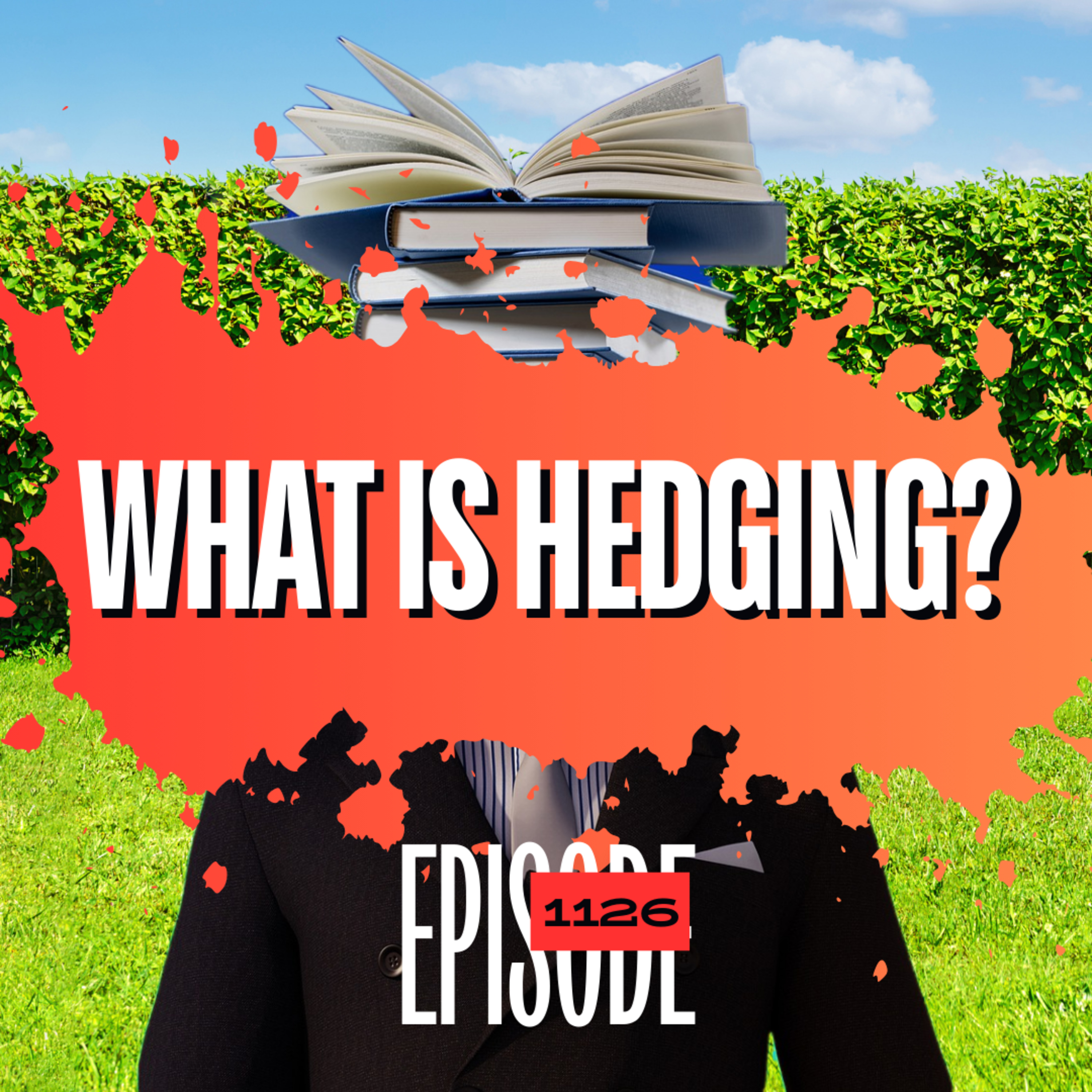 1126 - What Is Hedging In Forex Trading? - An Explanation & A Warning