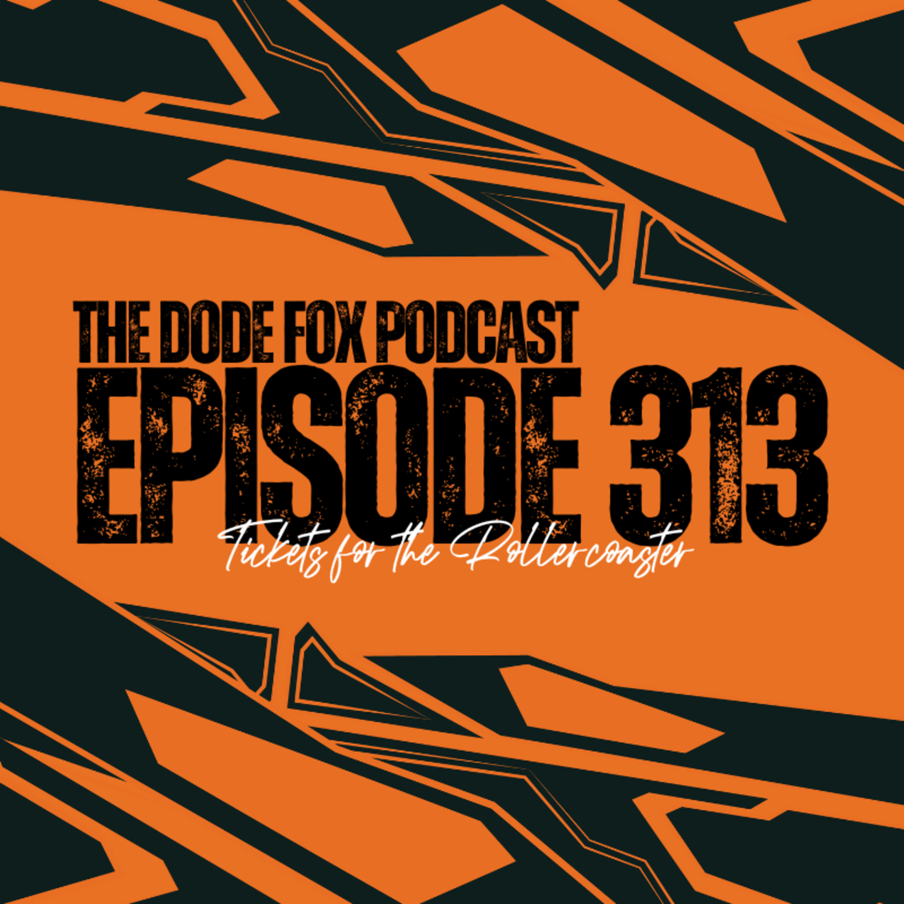 Episode 313 - Tickets for the Rollercoaster