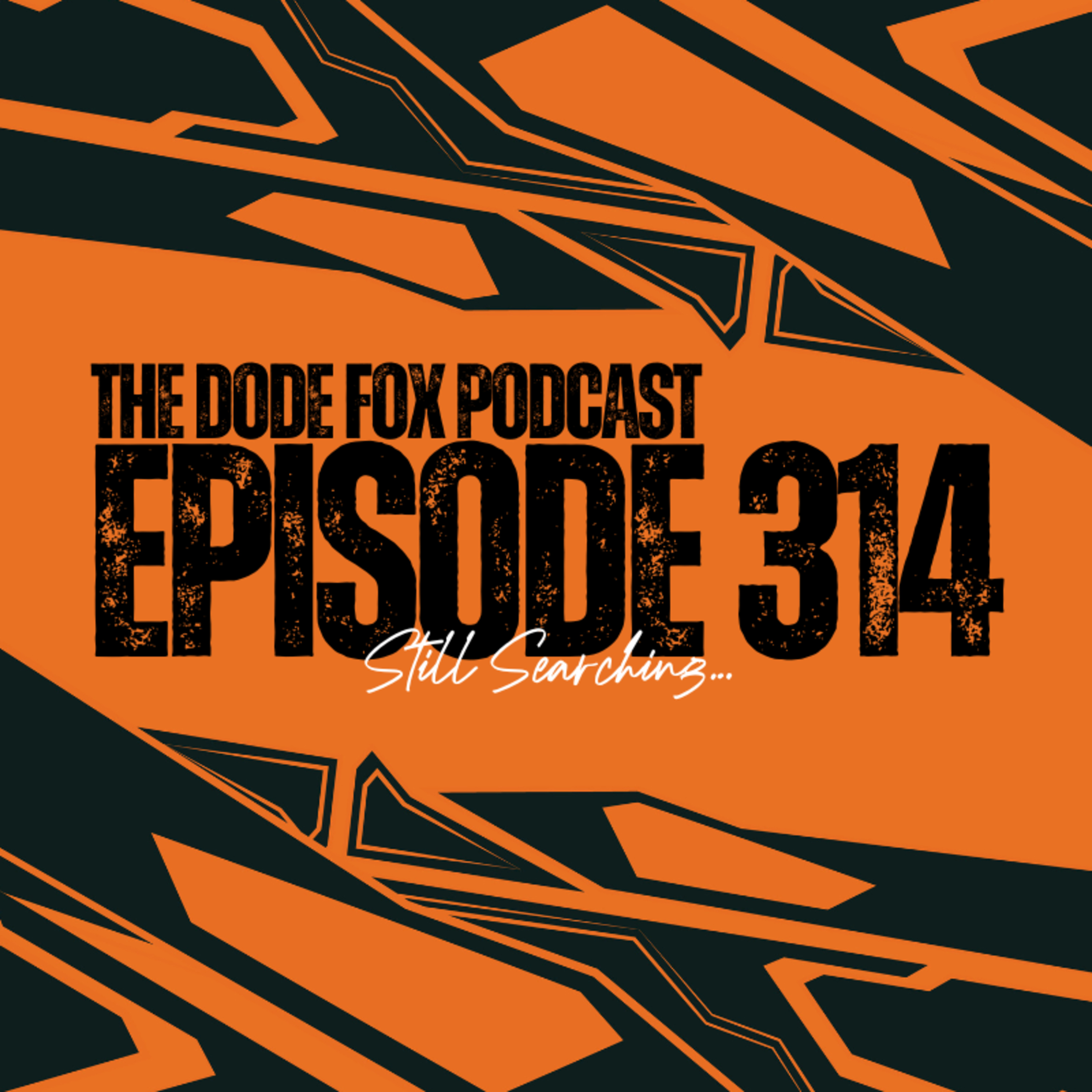 Episode 314 - Still Searching…