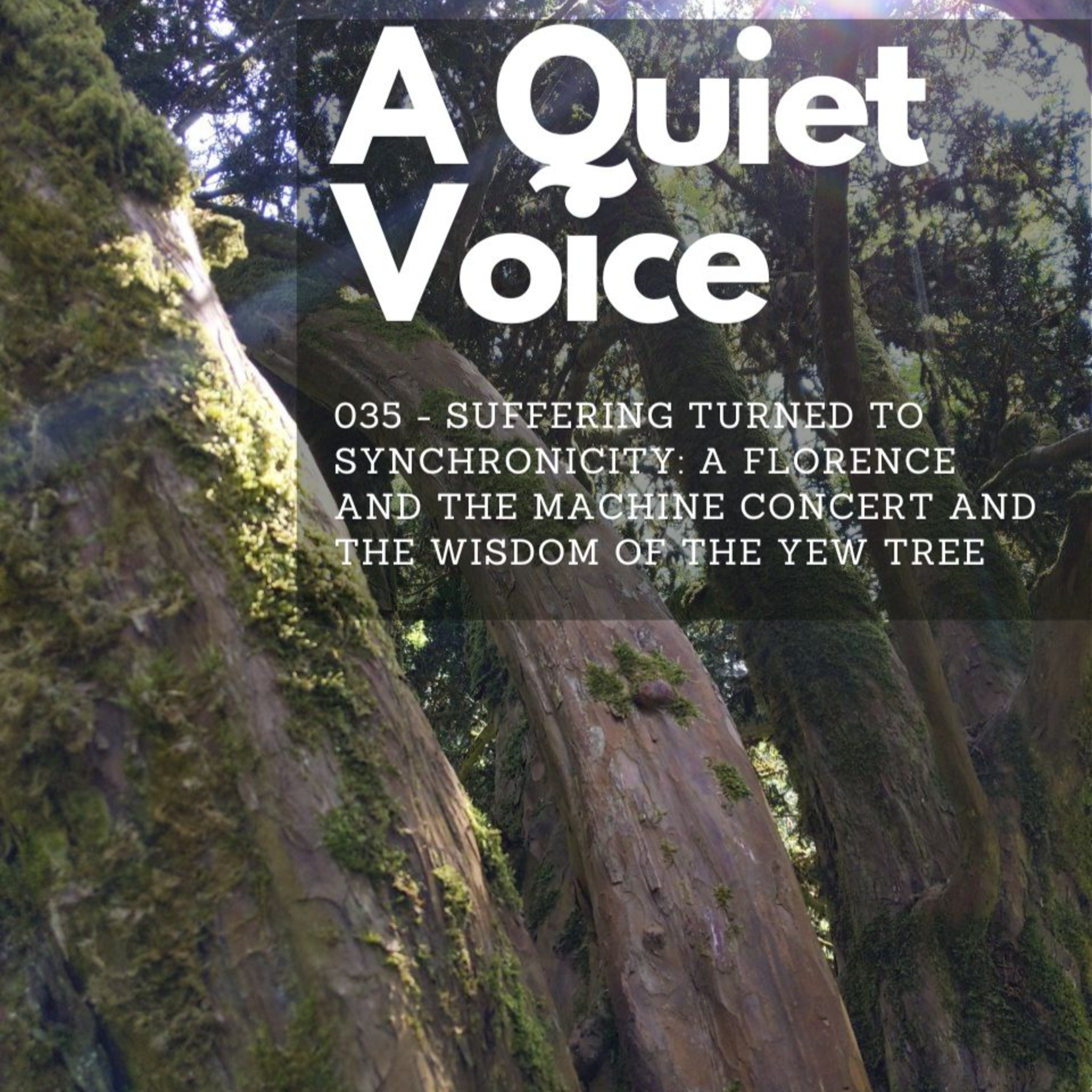 A Quiet Voice
