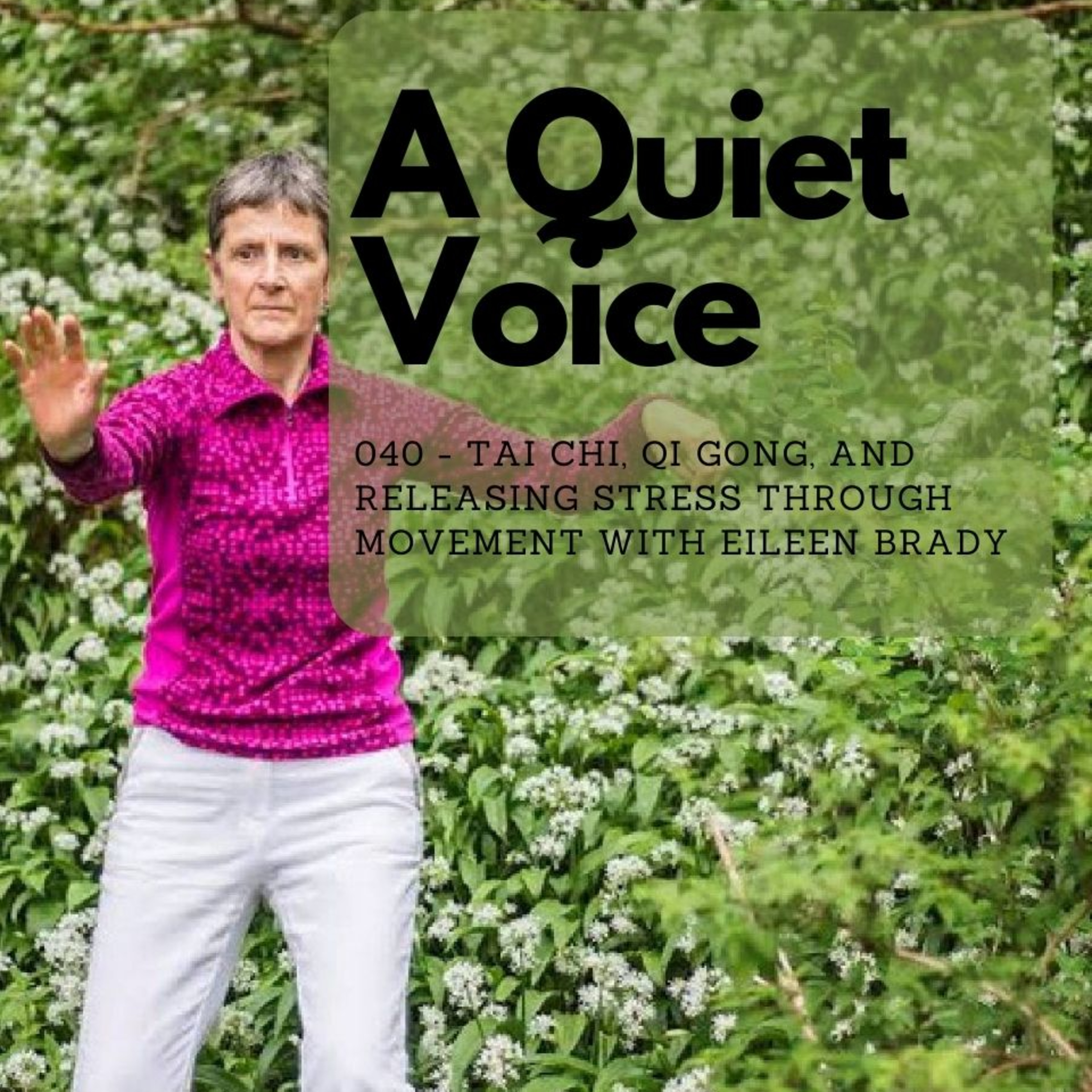 A Quiet Voice