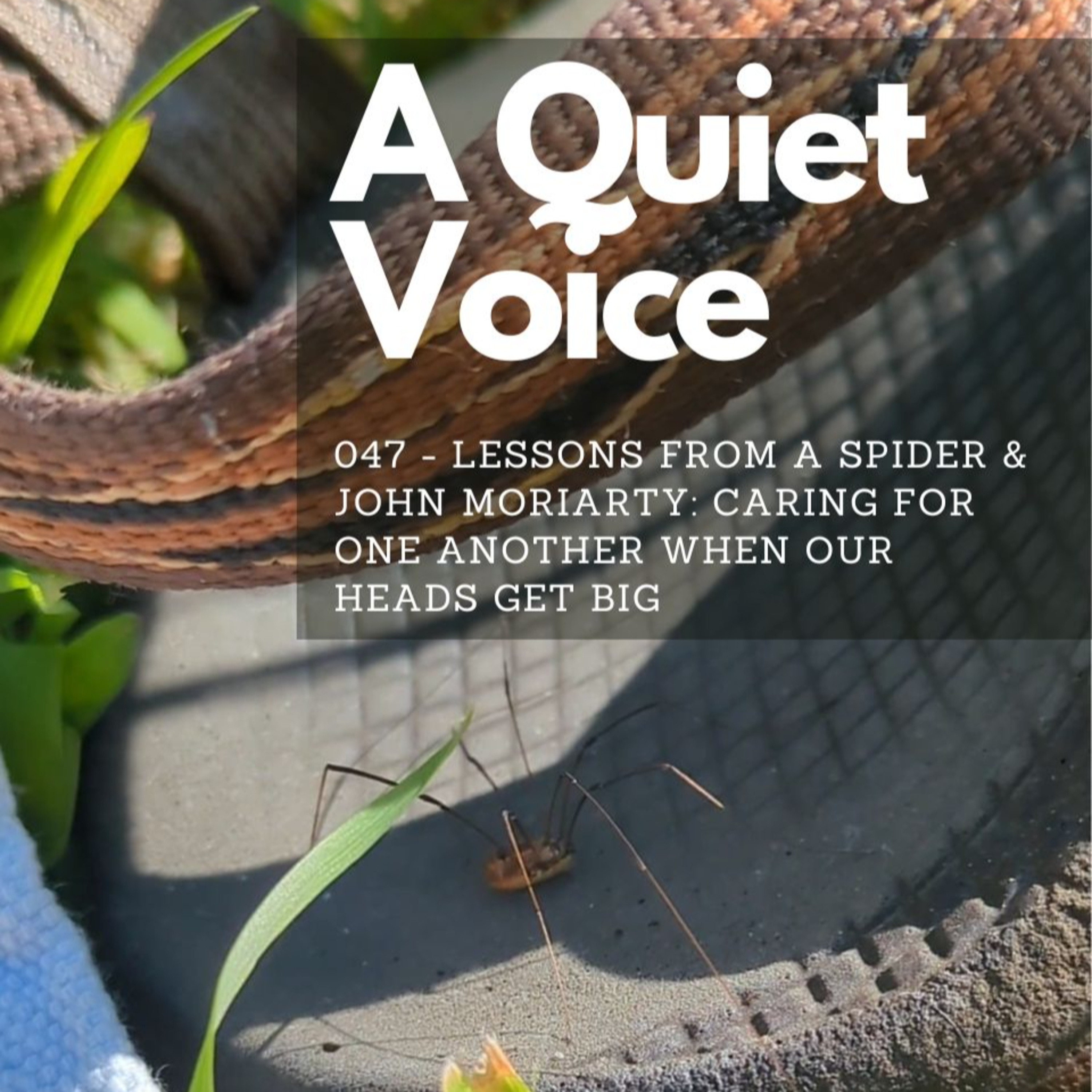 A Quiet Voice