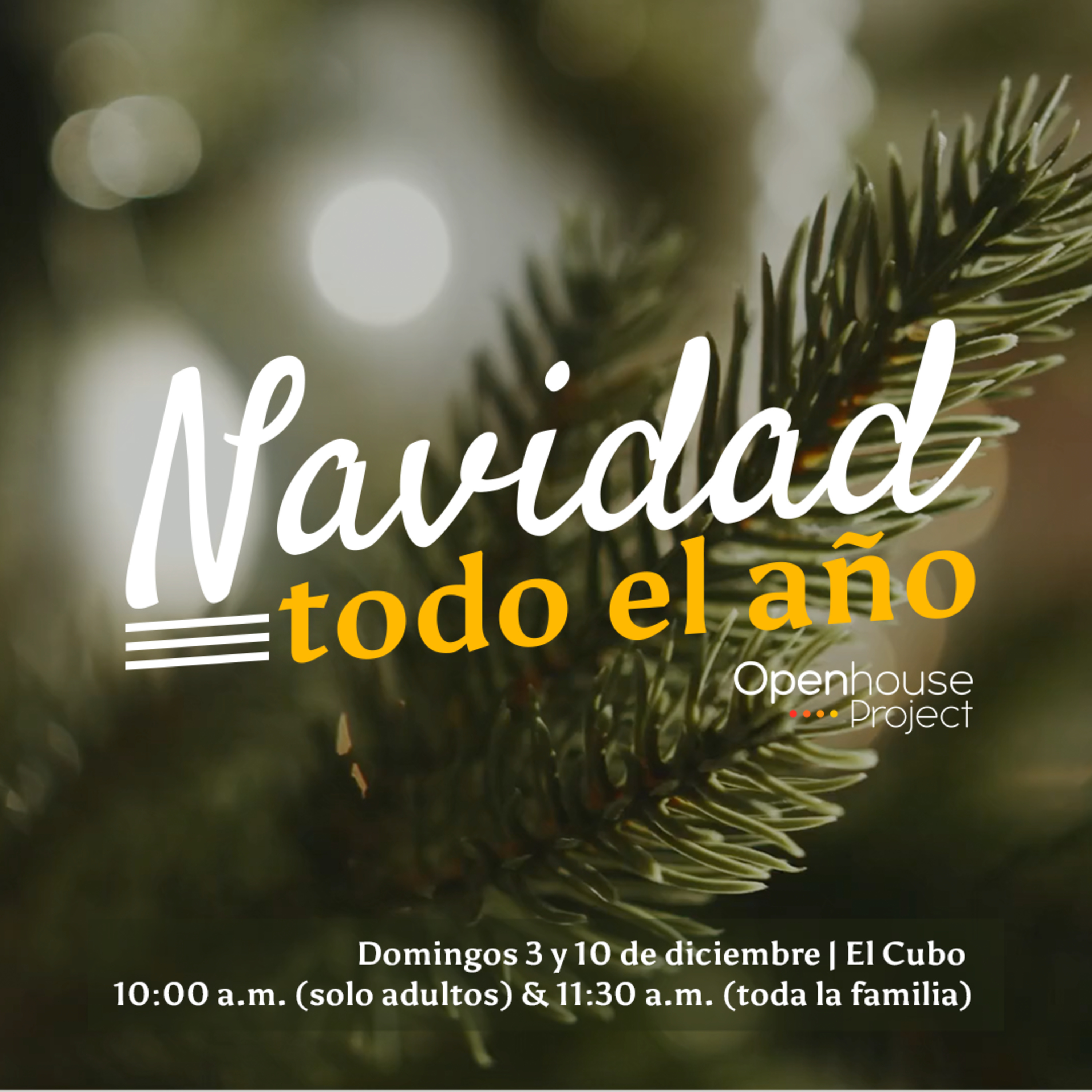 Portada de Openhouse Project