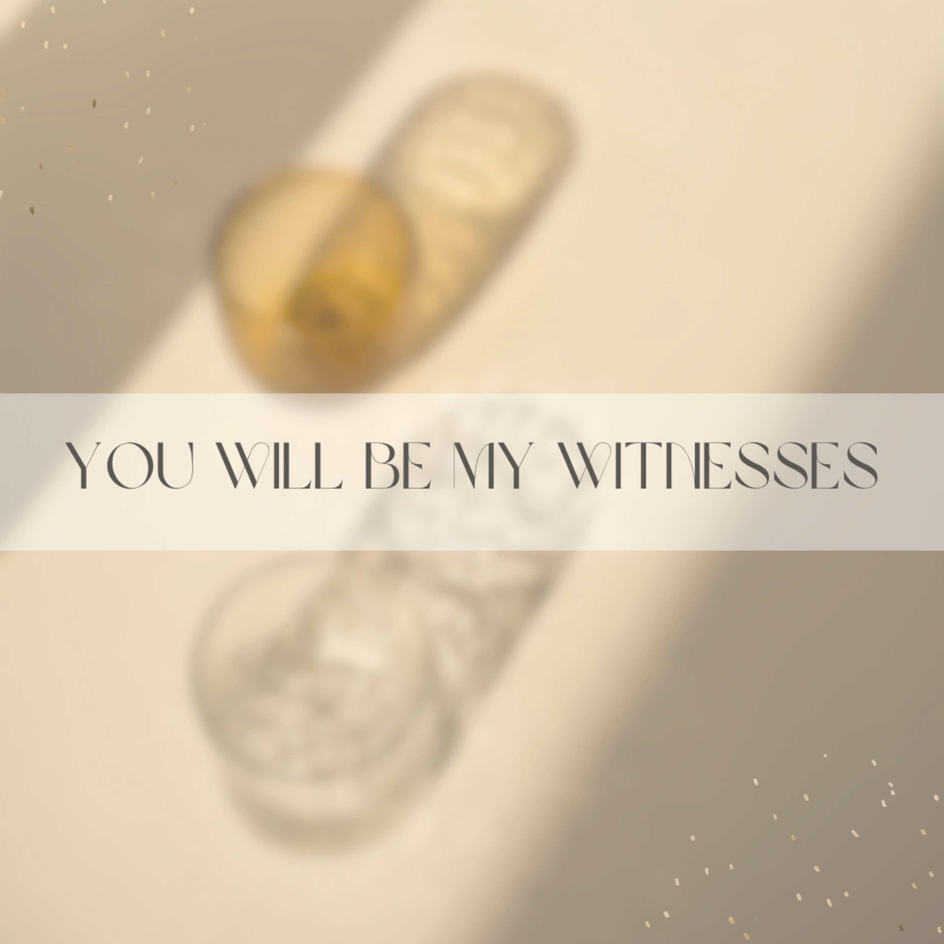 You Will Be My Witness episode artwork