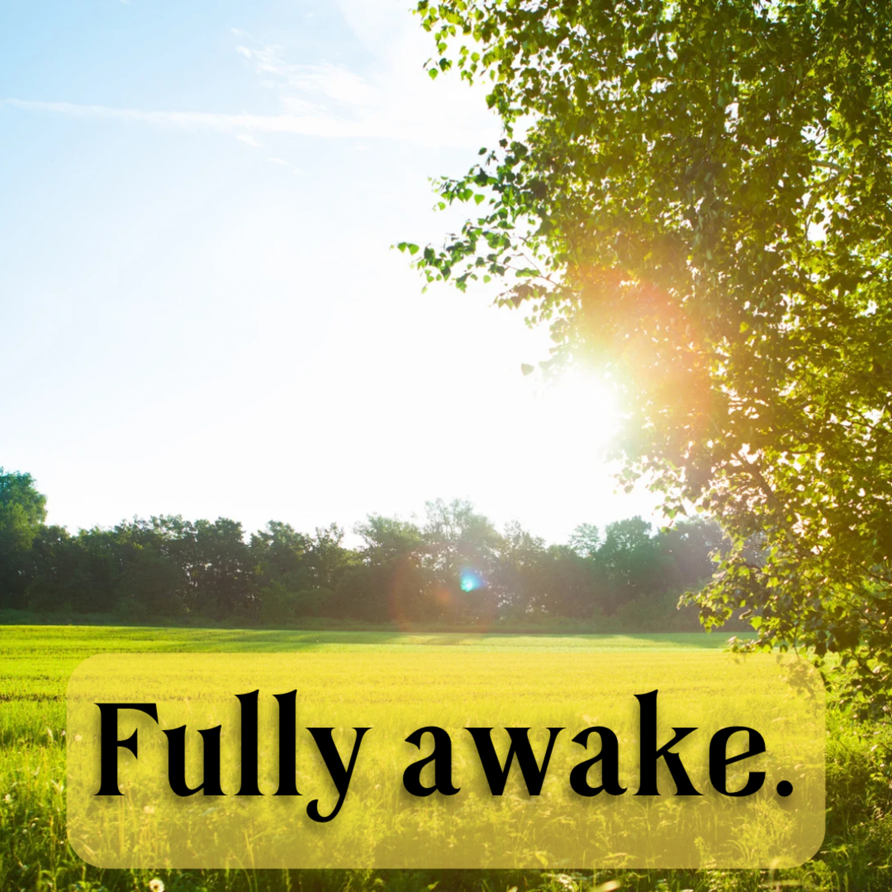 Fully Awake episode artwork