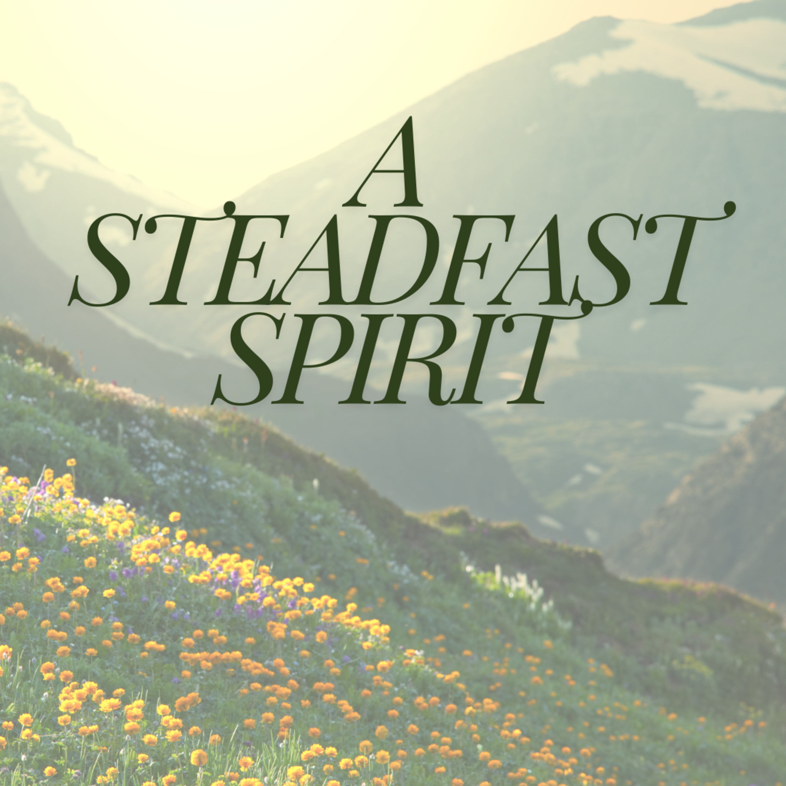 Steadfast Spirit episode artwork