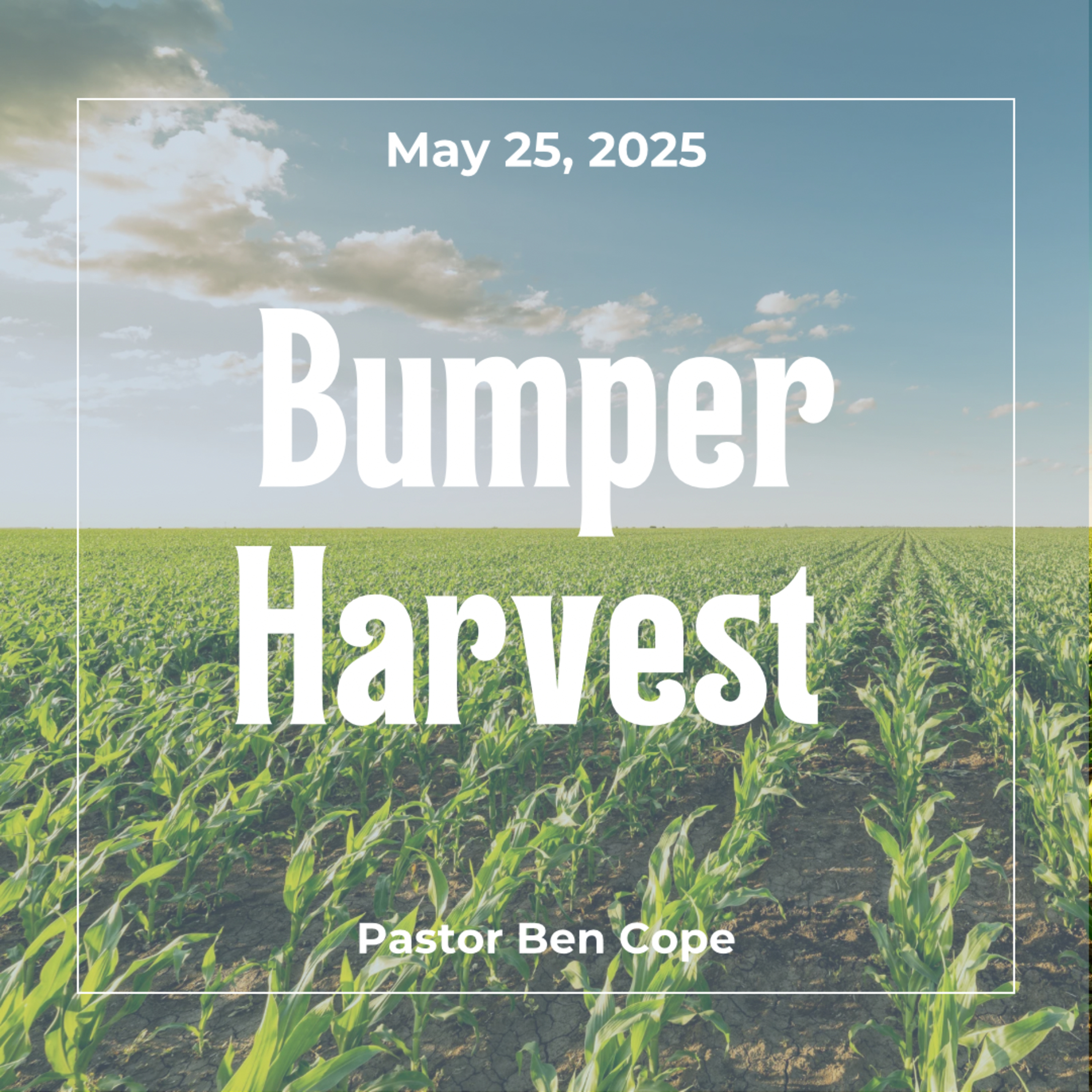 Bumper Harvest episode artwork