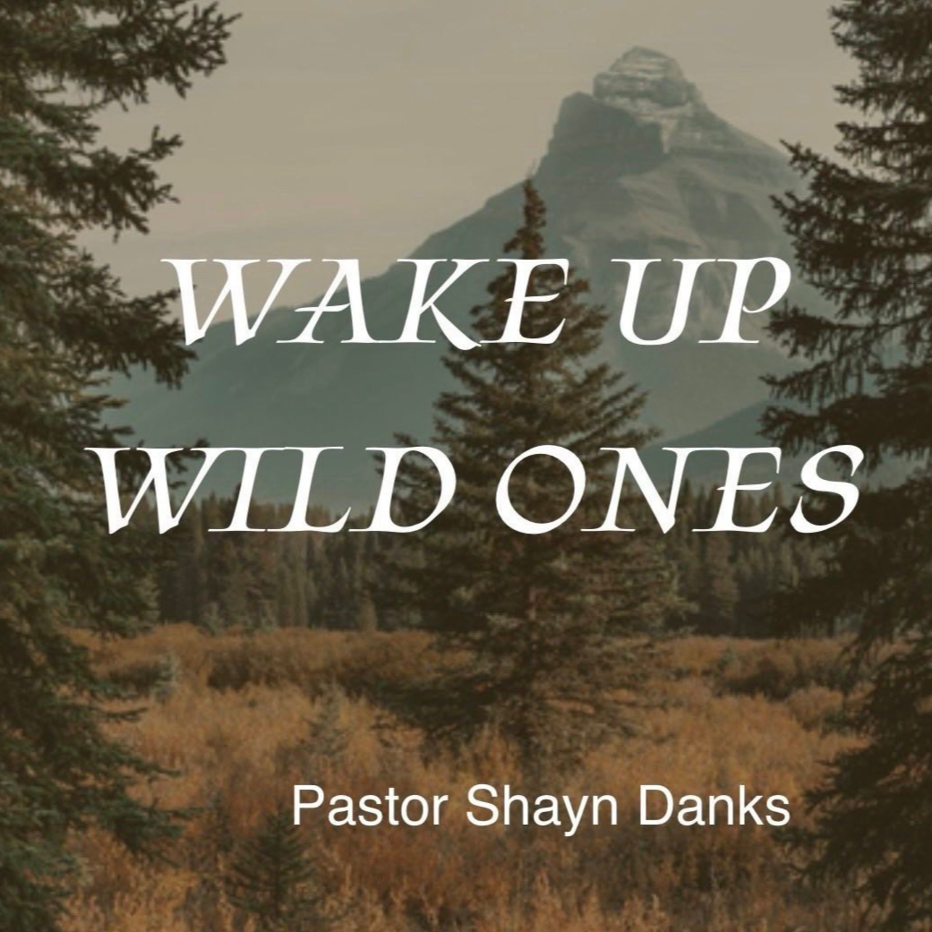 Wake Up Wild Ones episode artwork