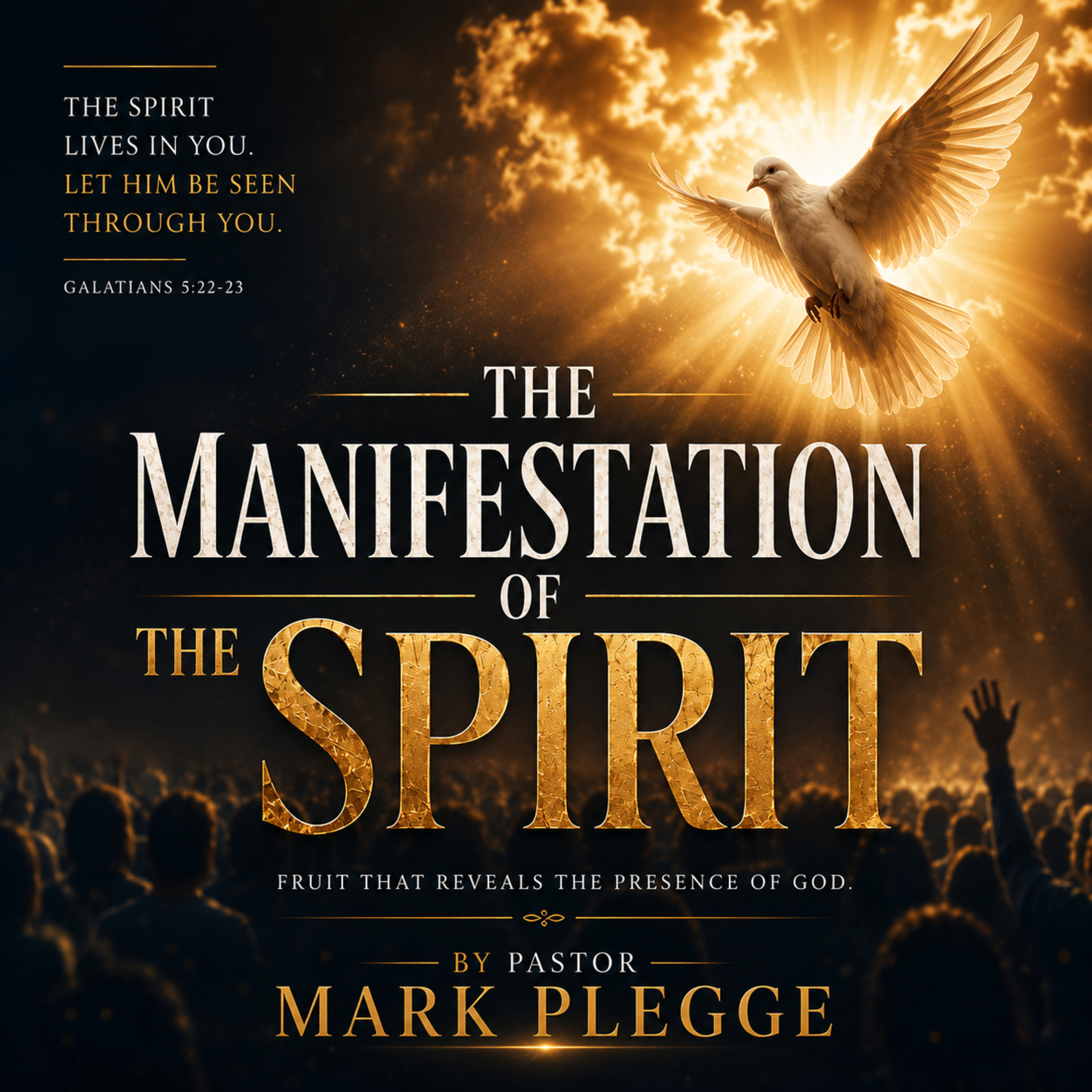 The Manifestation of The Spirit episode artwork
