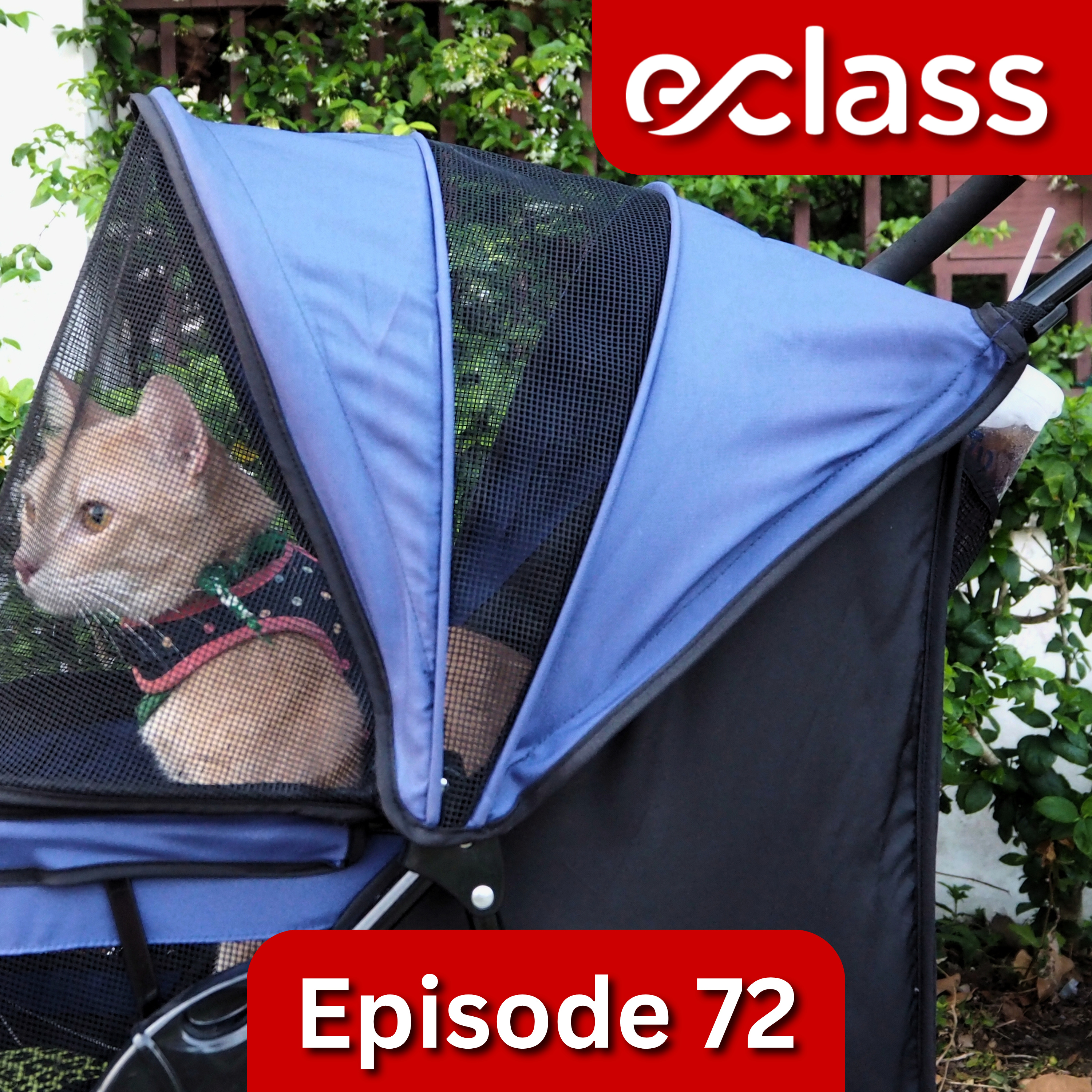 Portada de eClass