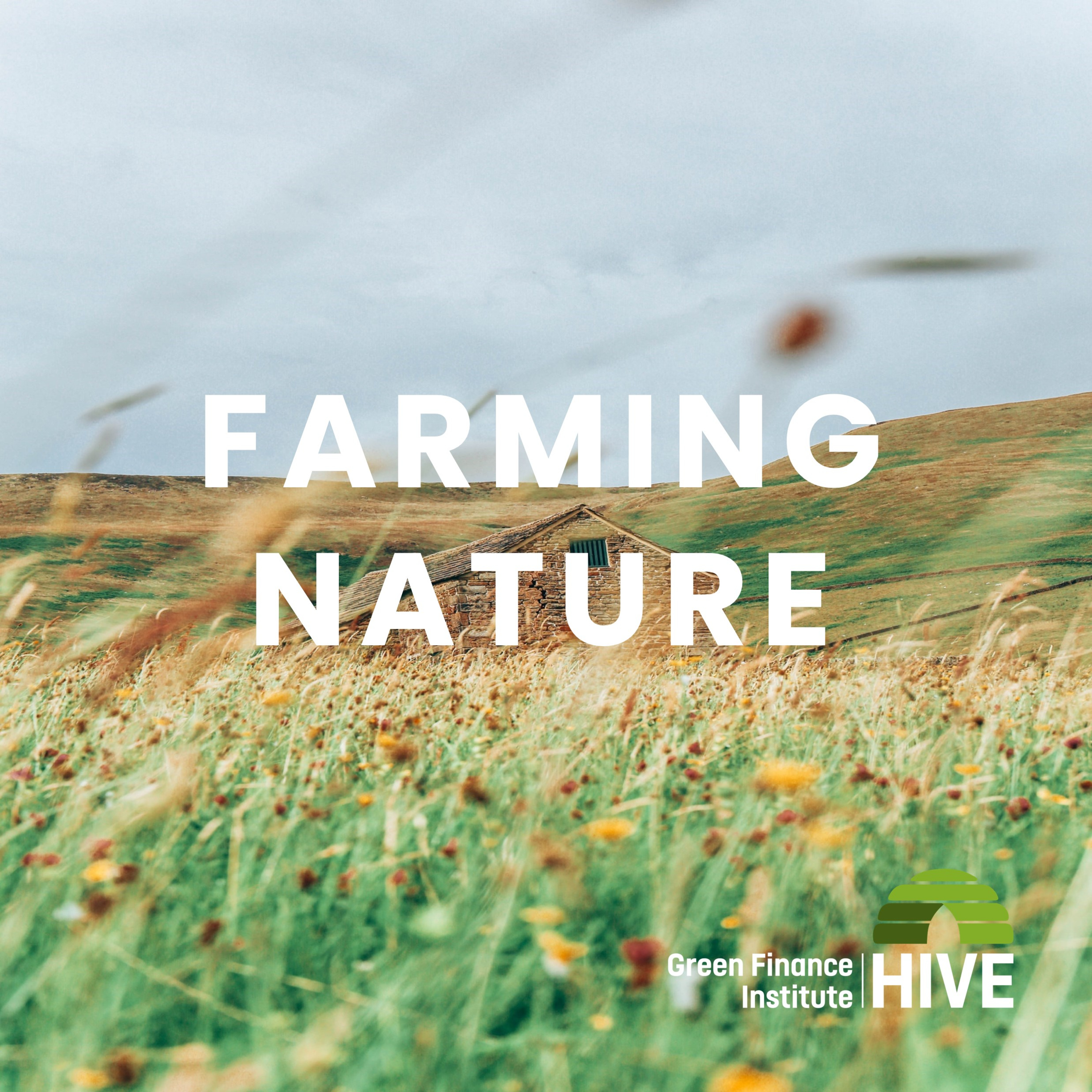 Farming Toolkit Special Episode: Timothy Coates, co-founder Oxbury Bank and third generation farmer episode artwork