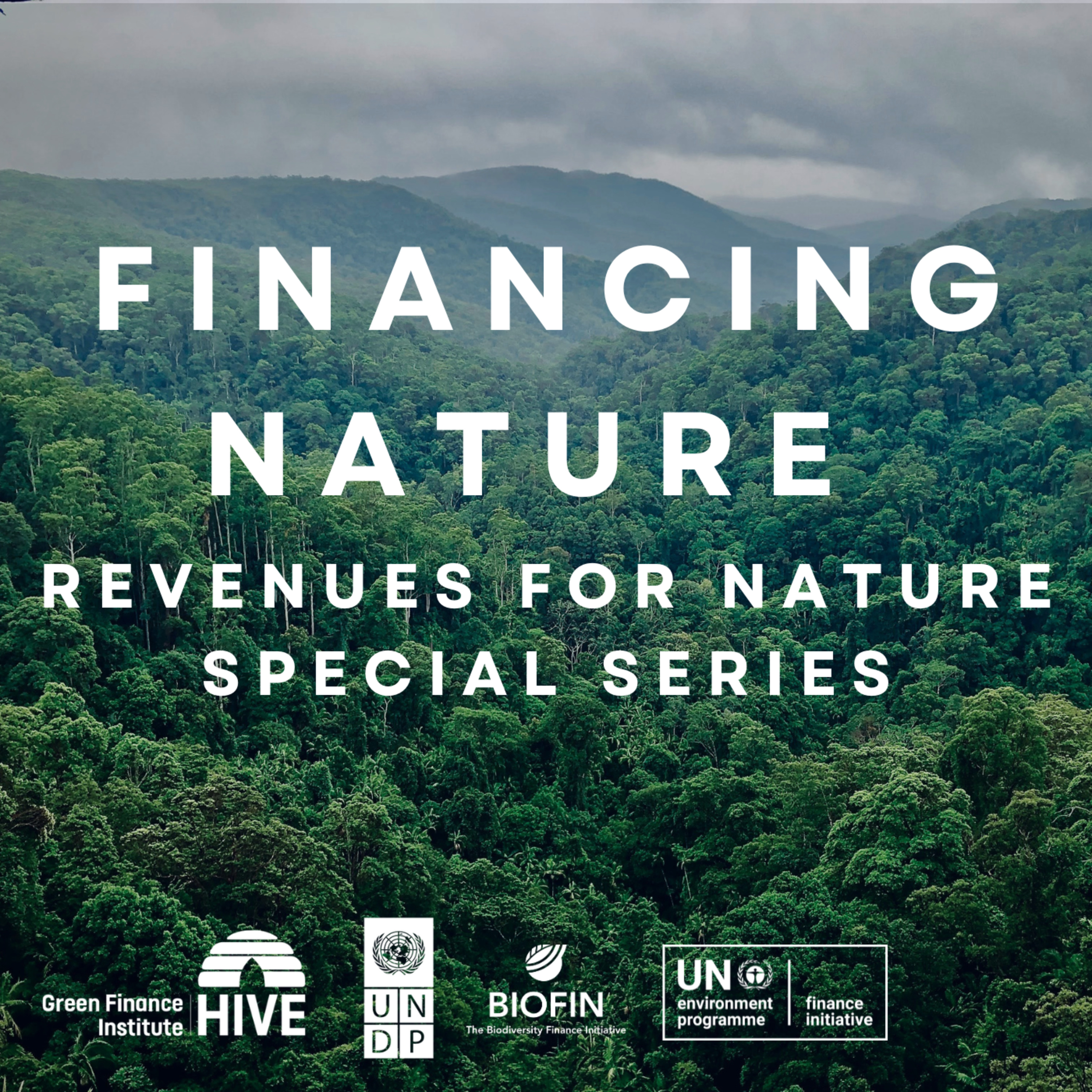 R4N Episode 2: Elizabeth Beall, Fisheries Improvement Fund