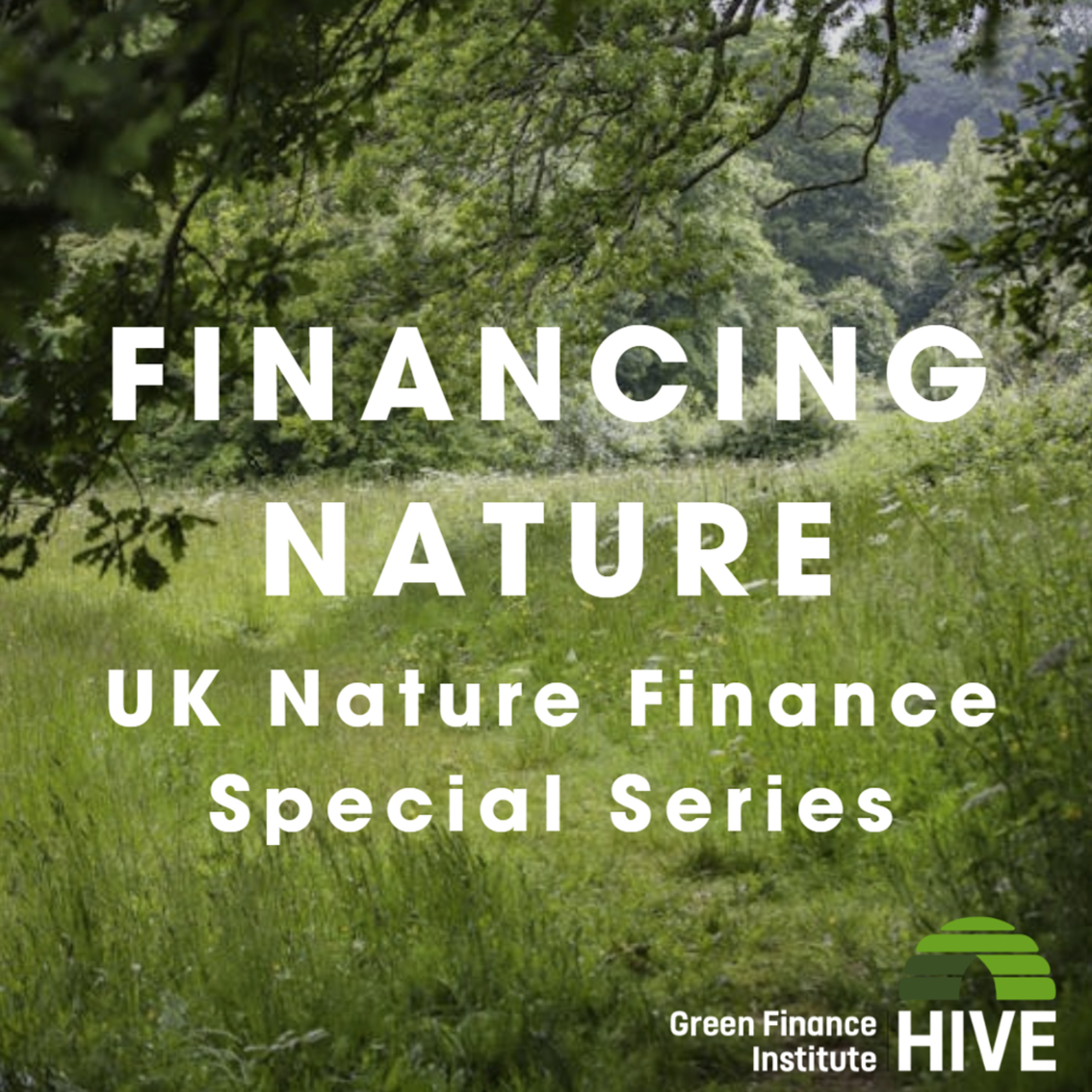 UK Special Series, Episode 4: Annabel Davidson Knight, Community Benefits from Nature Adviser, Scottish Land Commission episode artwork