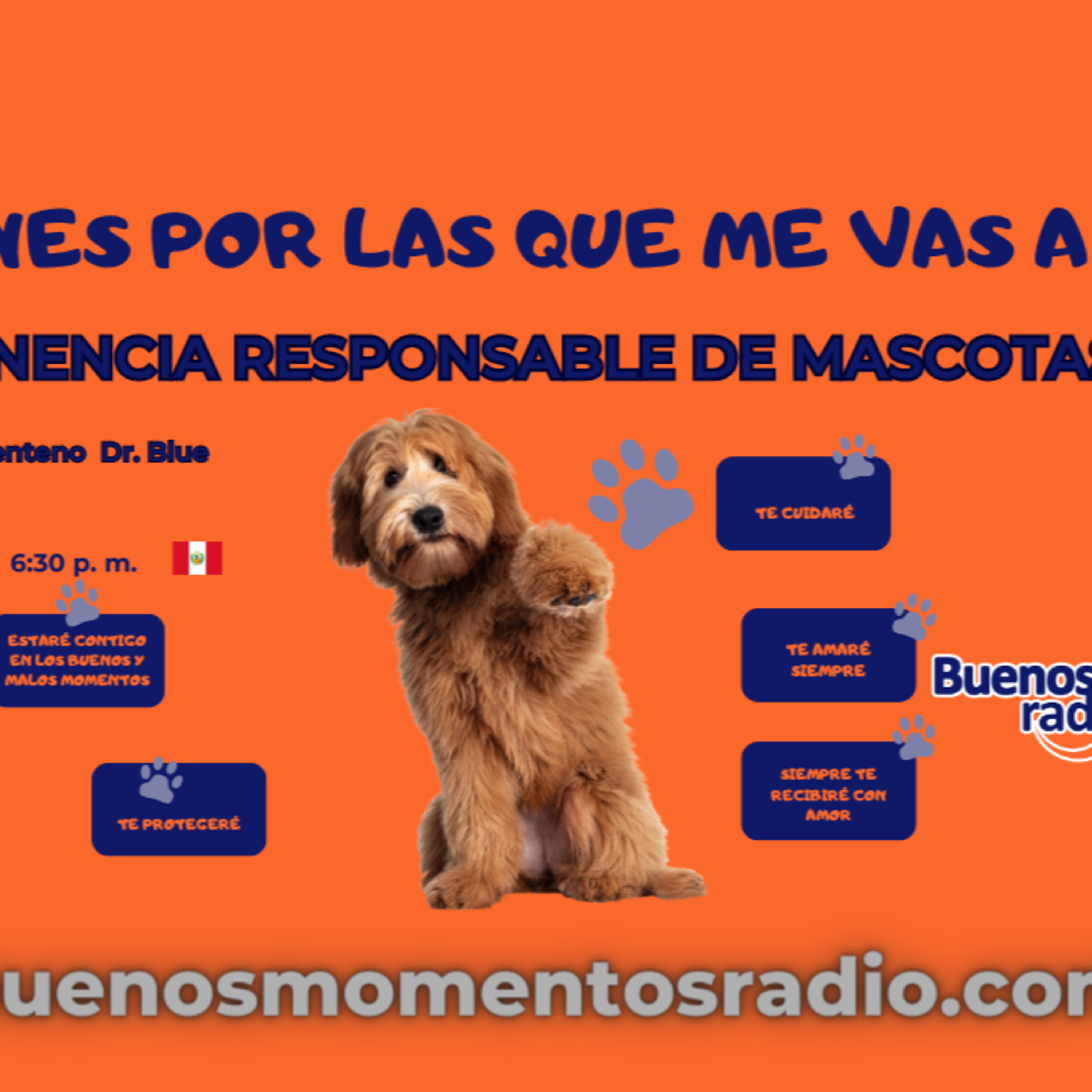 Buenos Momentos Radio