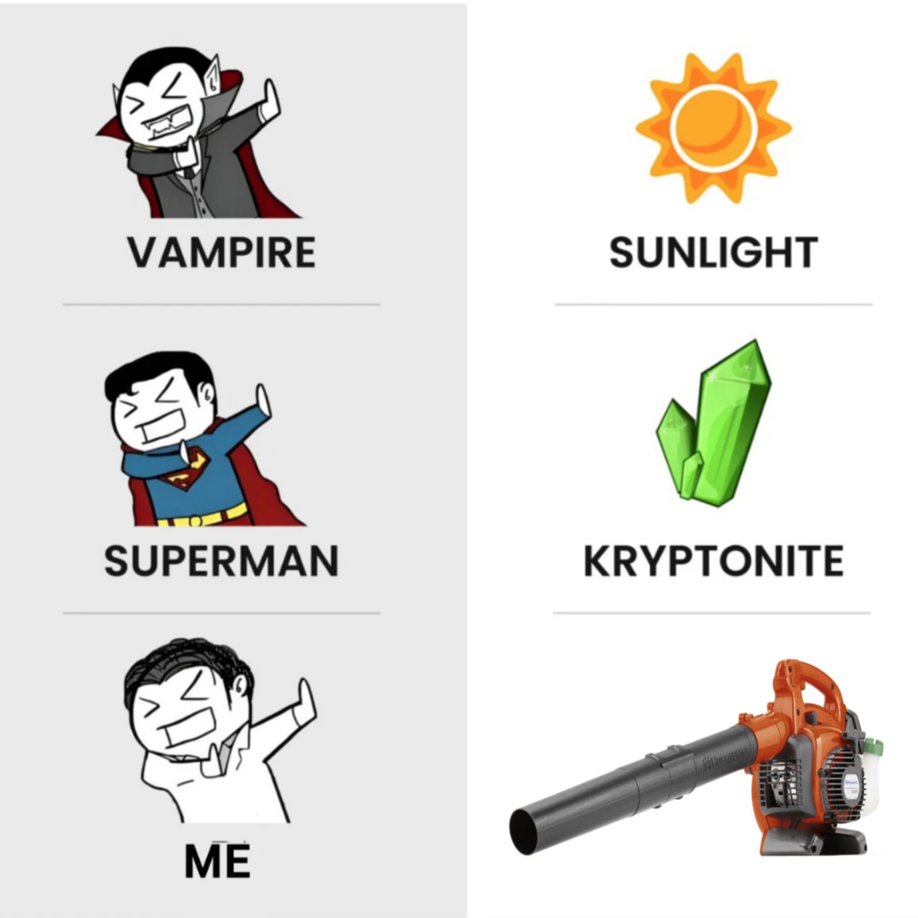 Experiencing My Brain