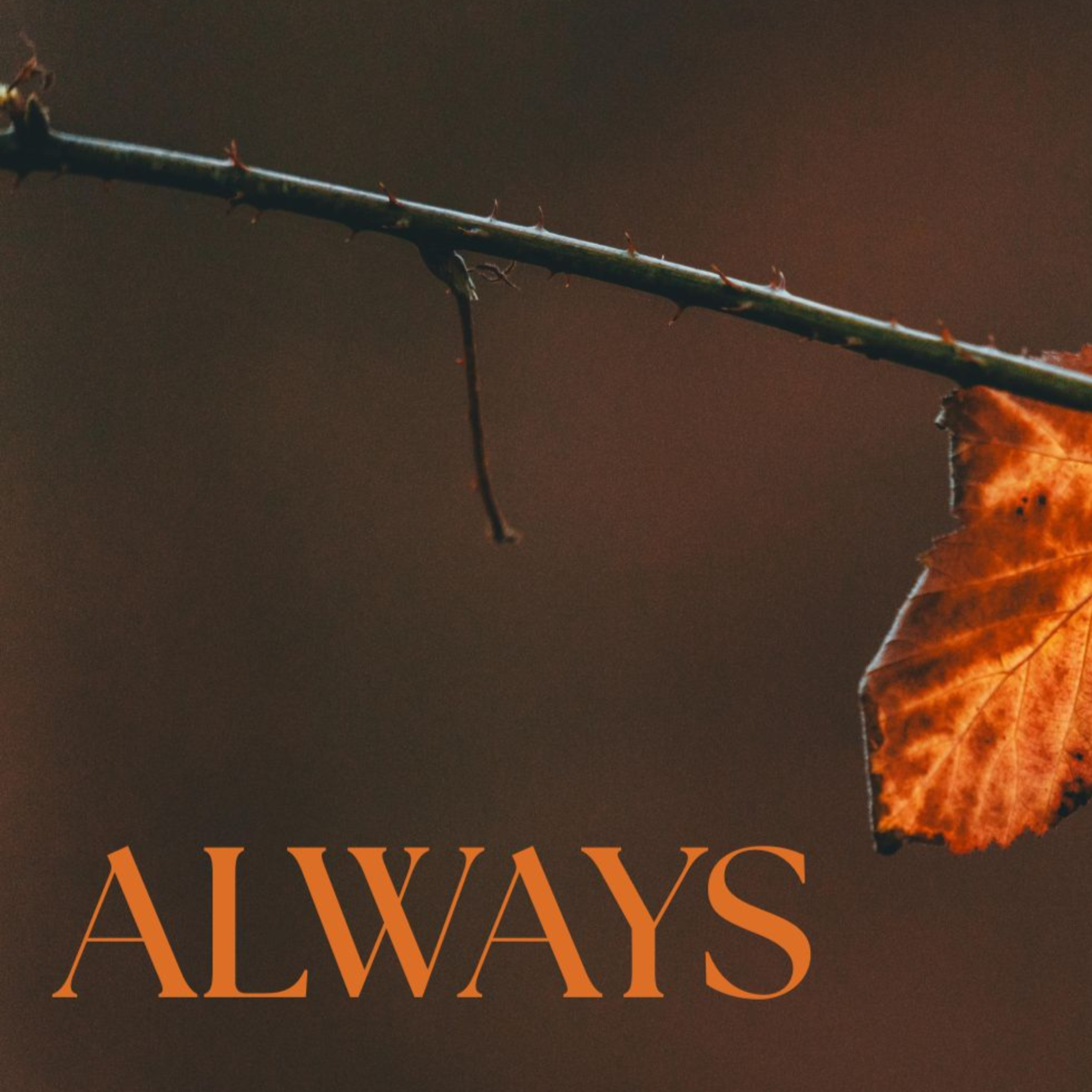 Rejoice Always // Emma Hennessy episode artwork