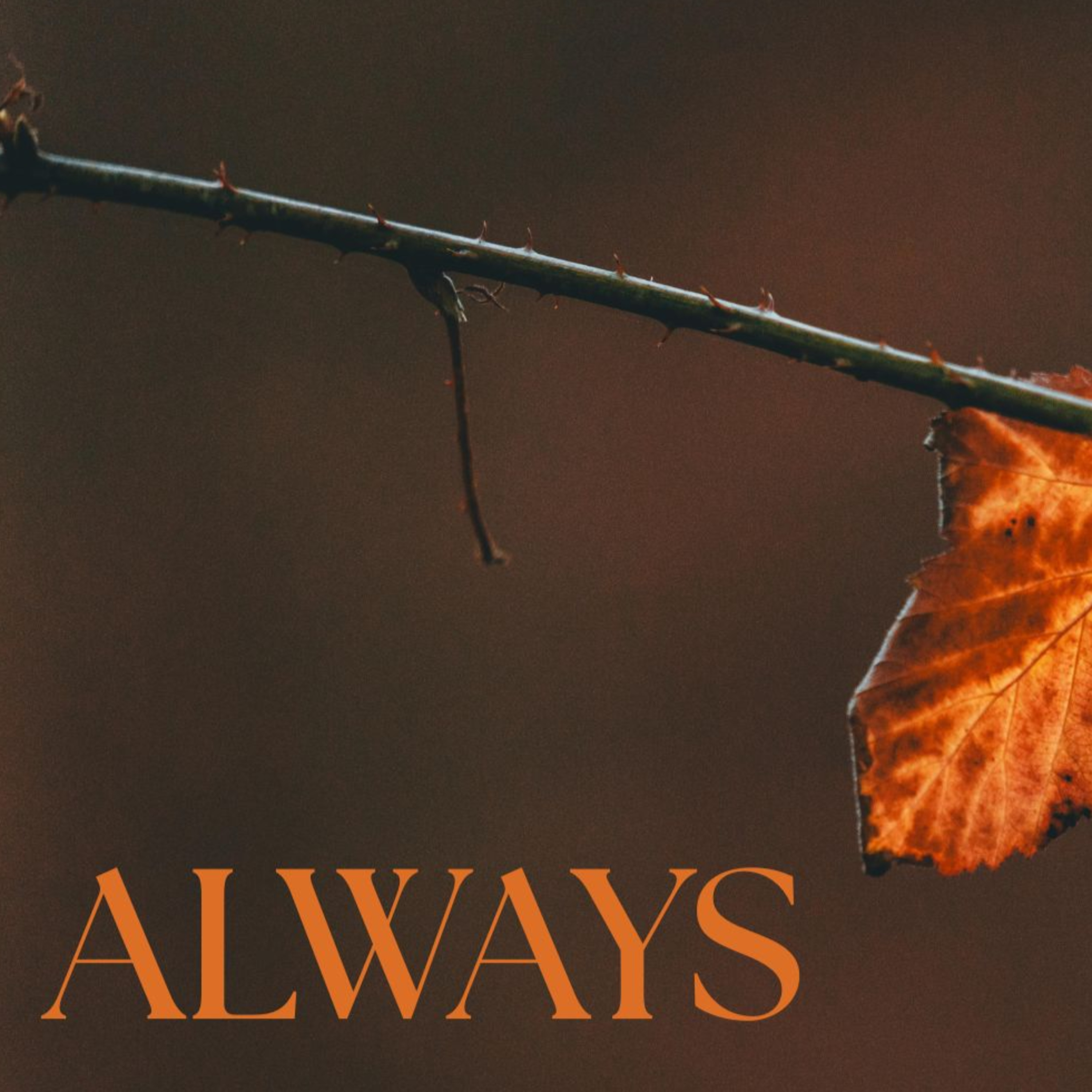 Give Thanks in All Circumstances // Kyler Matthias episode artwork